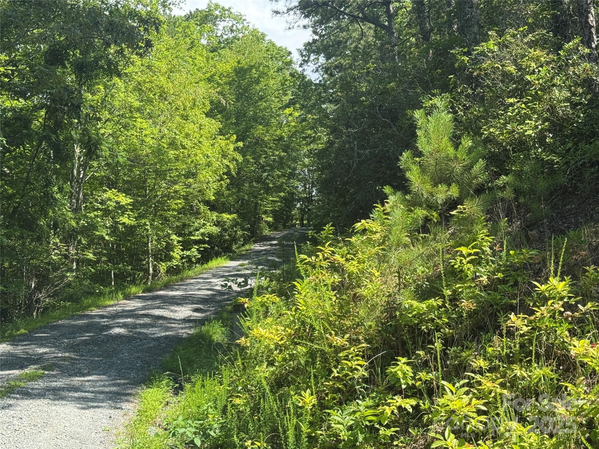 999 Ivy Lane - Photo 10