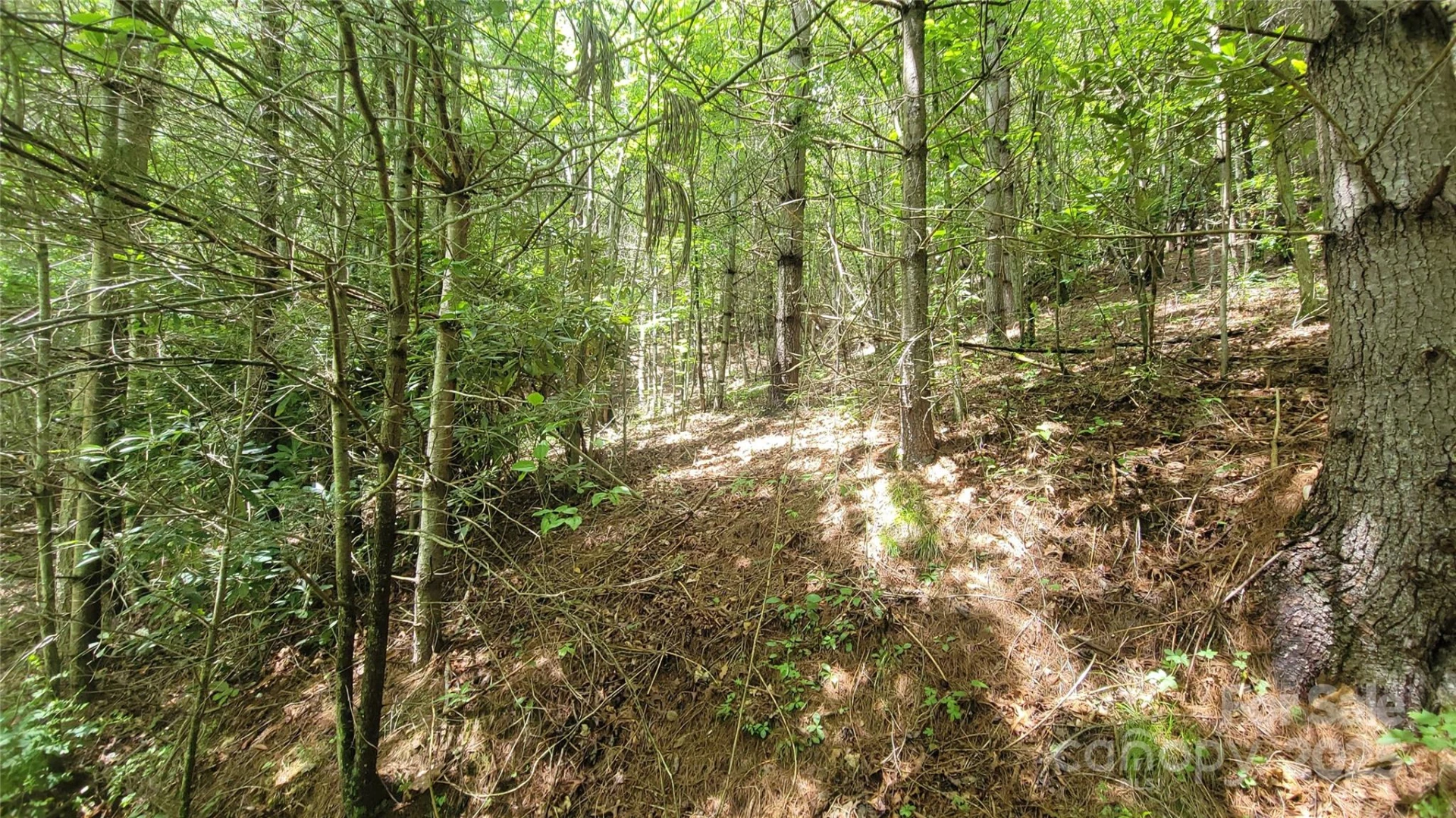 000 Eagle Bridge Road - Photo 11