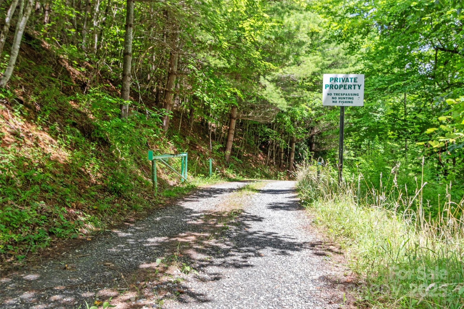 000 Eagle Bridge Road - Photo 3