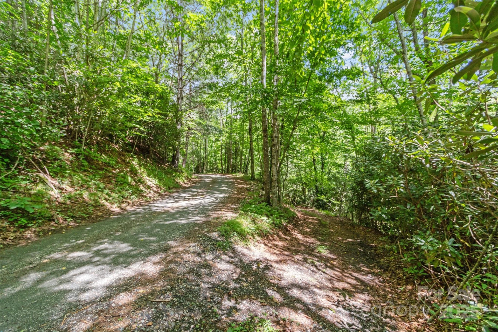 000 Eagle Bridge Road - Photo 4