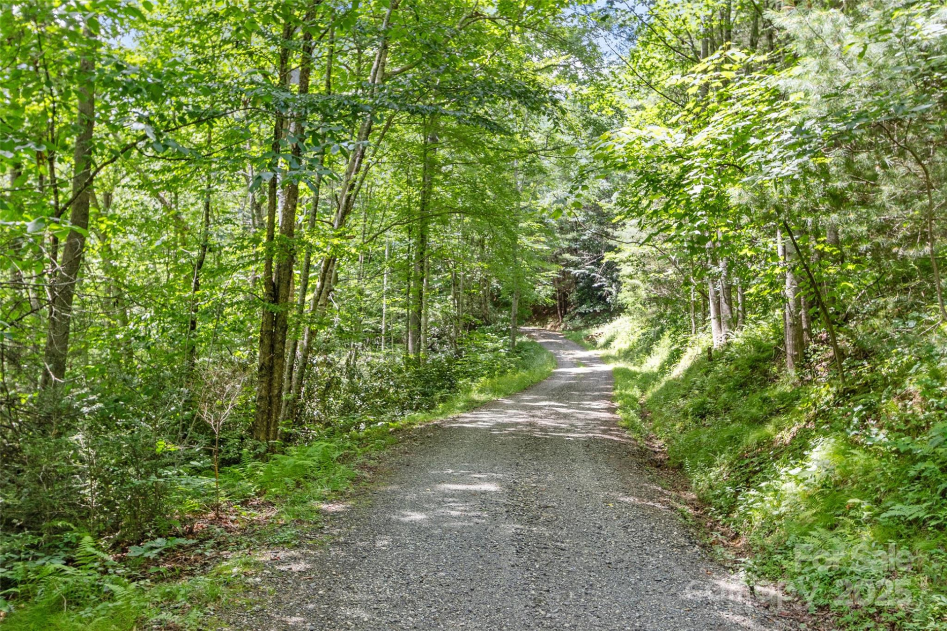 000 Eagle Bridge Road - Photo 6