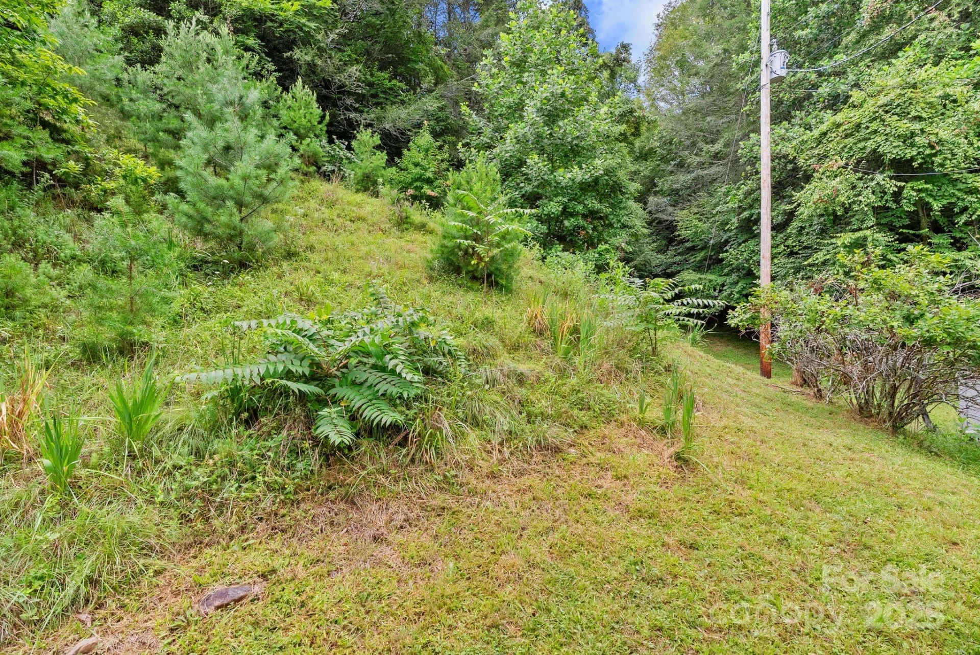 530 Rebel Ridge Road - Photo 30