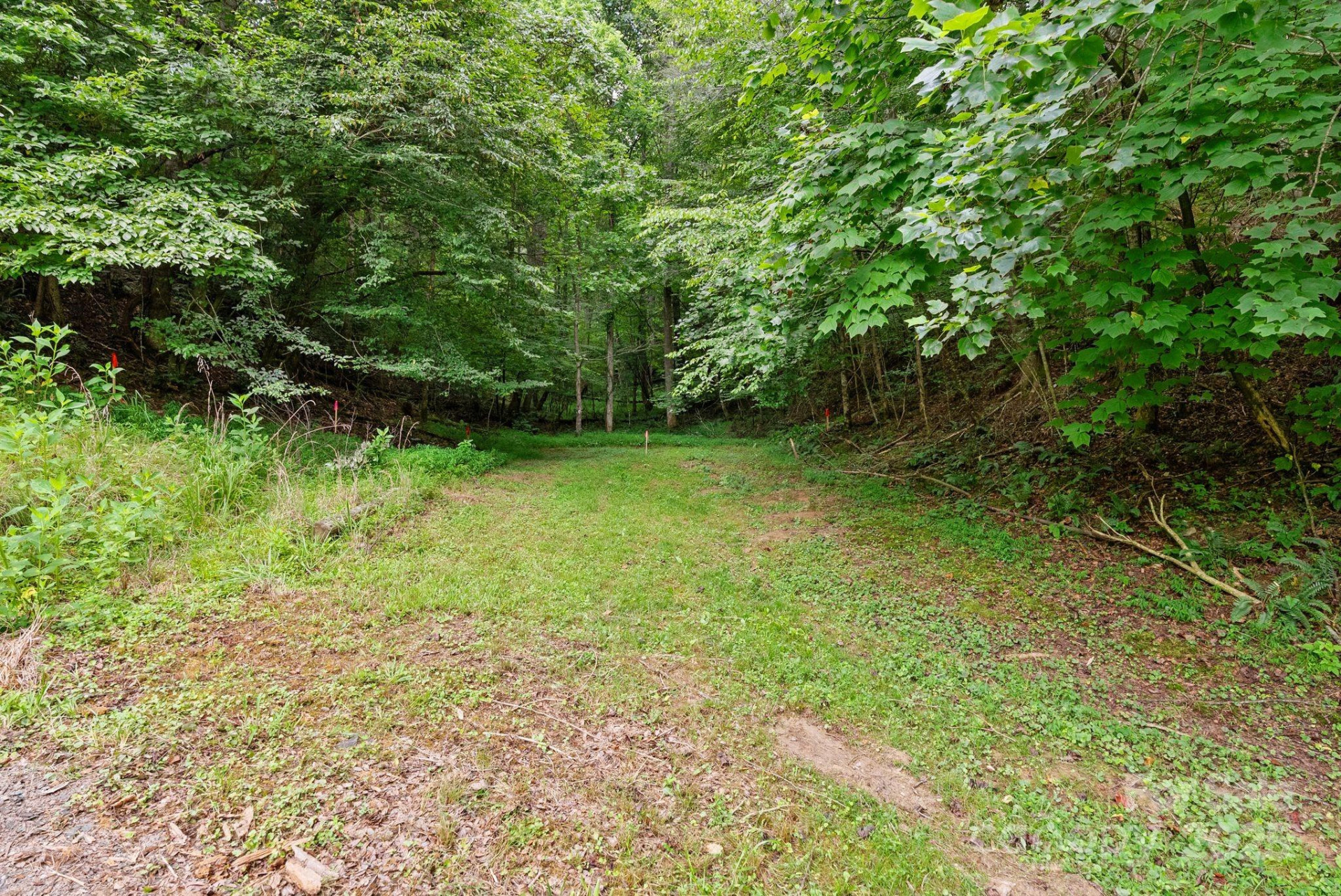 530 Rebel Ridge Road - Photo 32