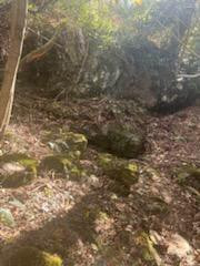 530 Rebel Ridge Road - Photo 42