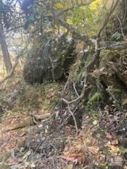 530 Rebel Ridge Road - Photo 43