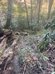 530 Rebel Ridge Road - Photo 44