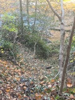 530 Rebel Ridge Road - Photo 45