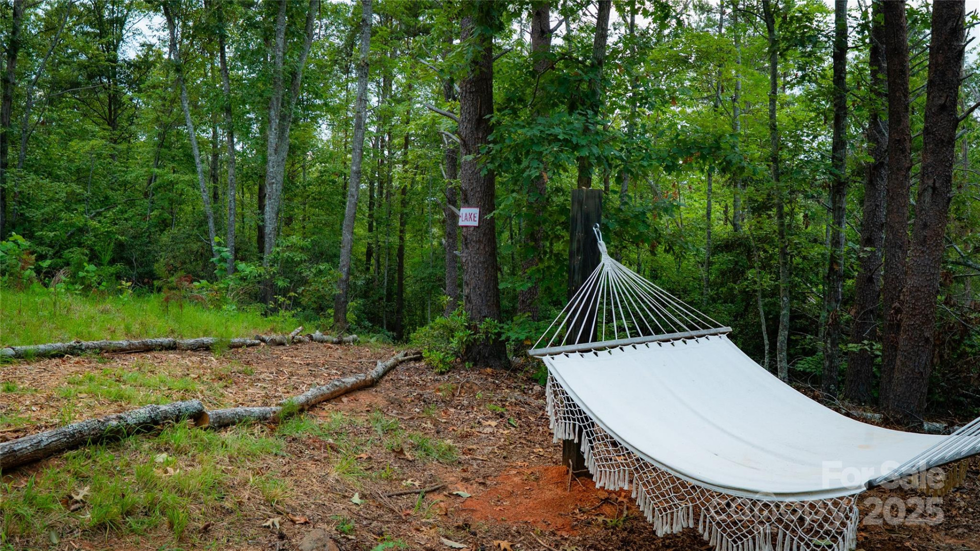 221 Summerfield Lane - Photo 6