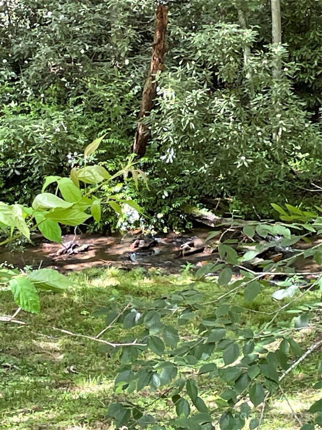 686 Mashstomp Road - Photo 4