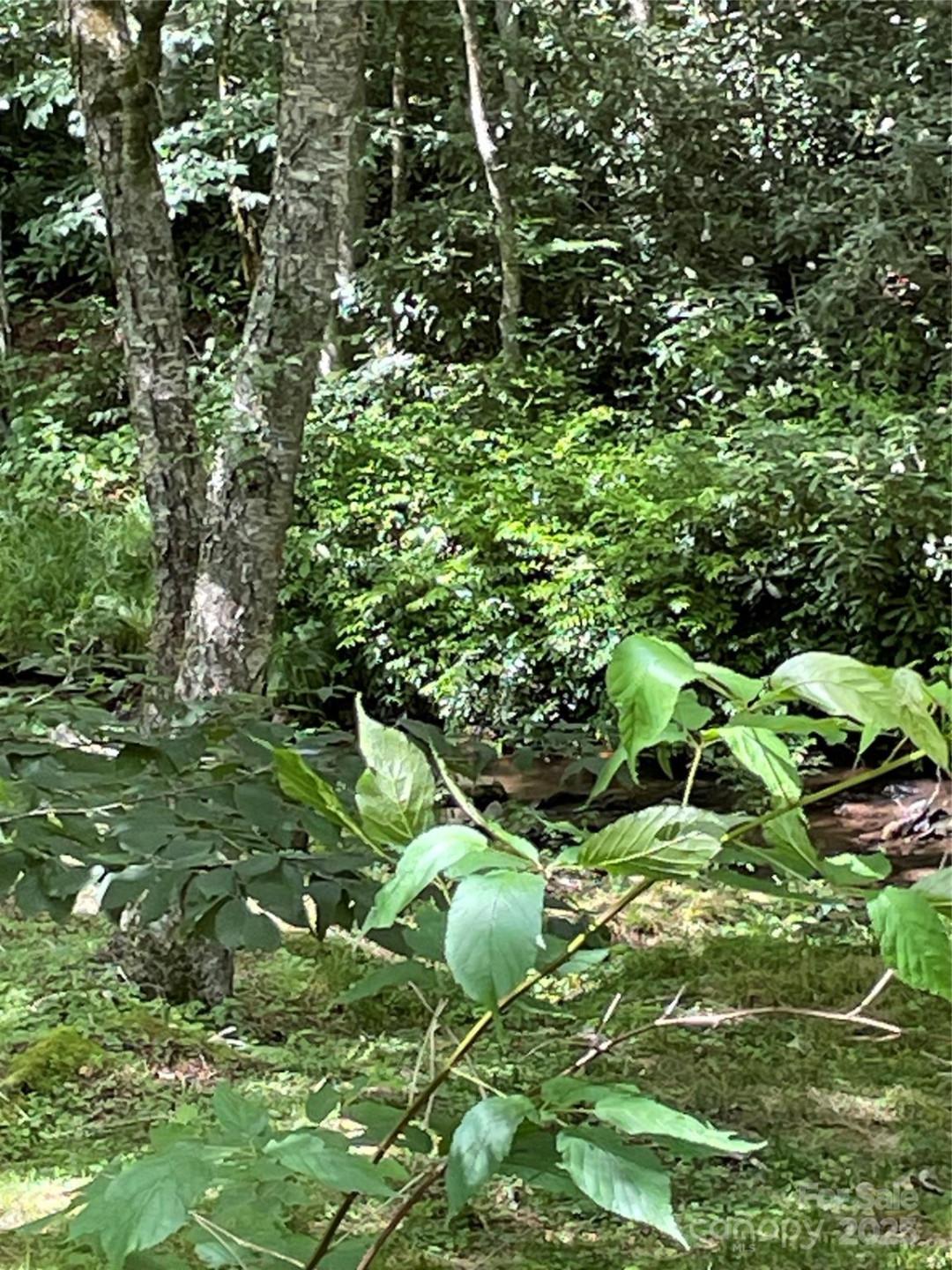 686 Mashstomp Road - Photo 5