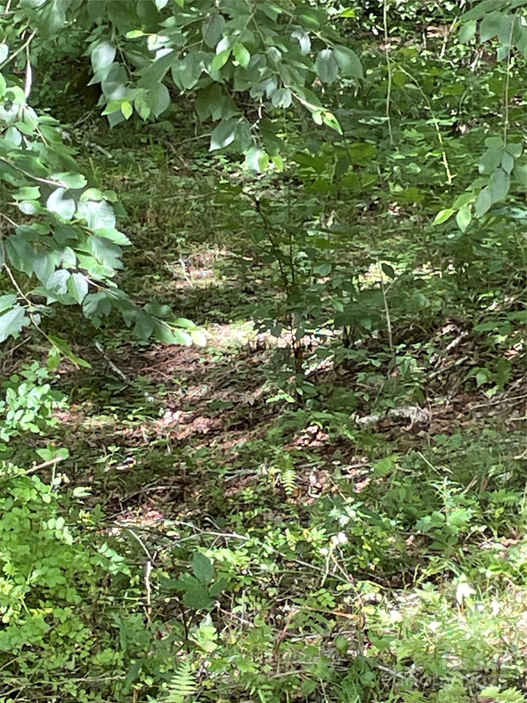 686 Mashstomp Road - Photo 9