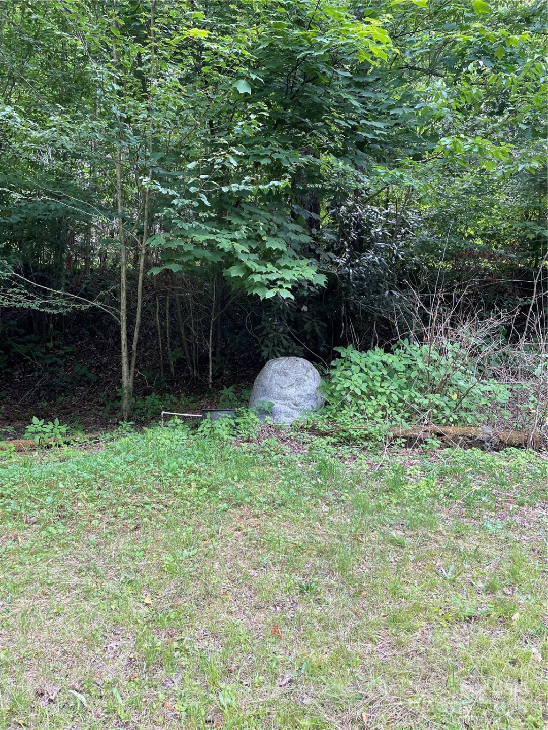 686 Mashstomp Road - Photo 10