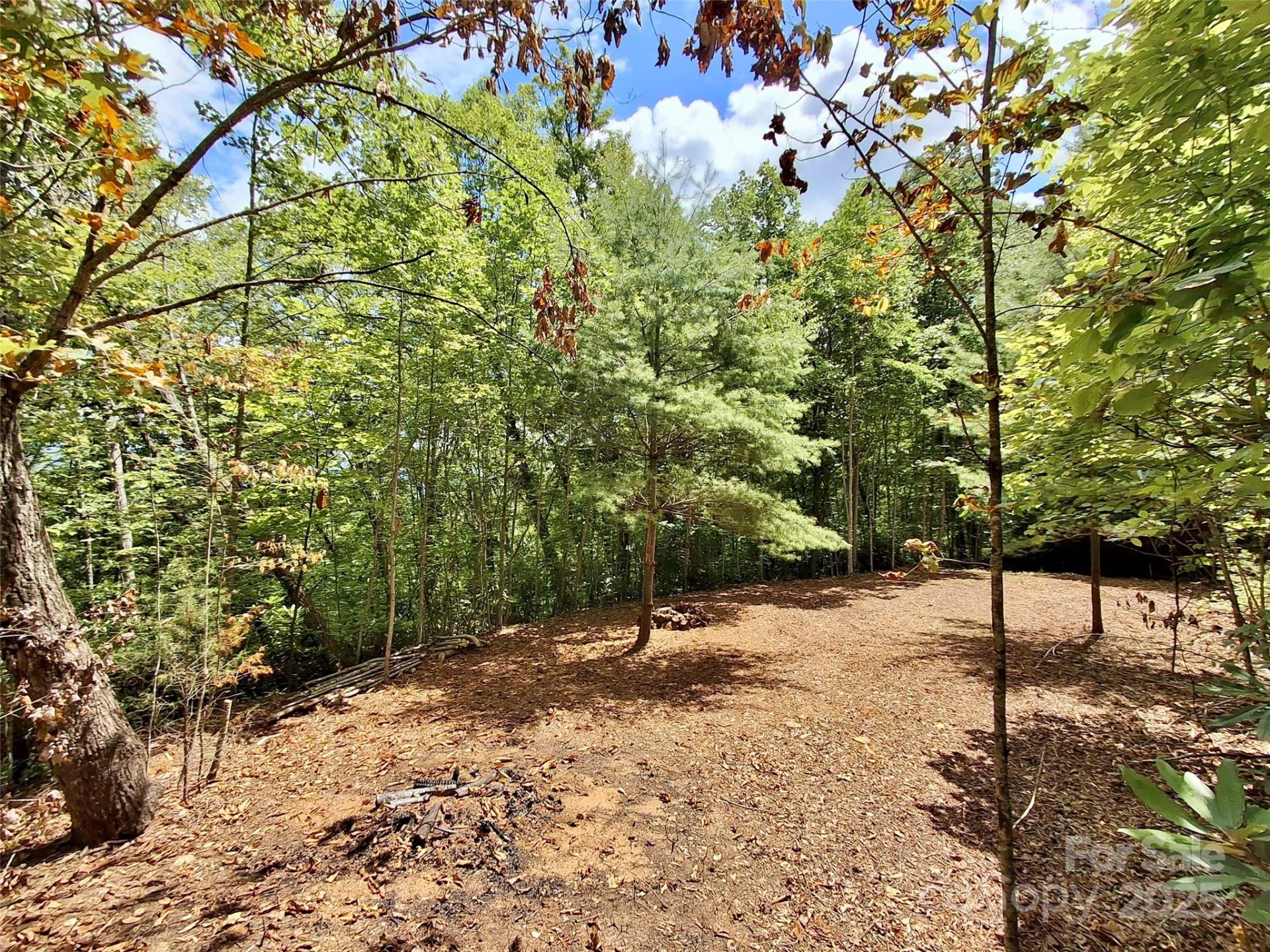 0 Sometimes Creek Road - Photo 2