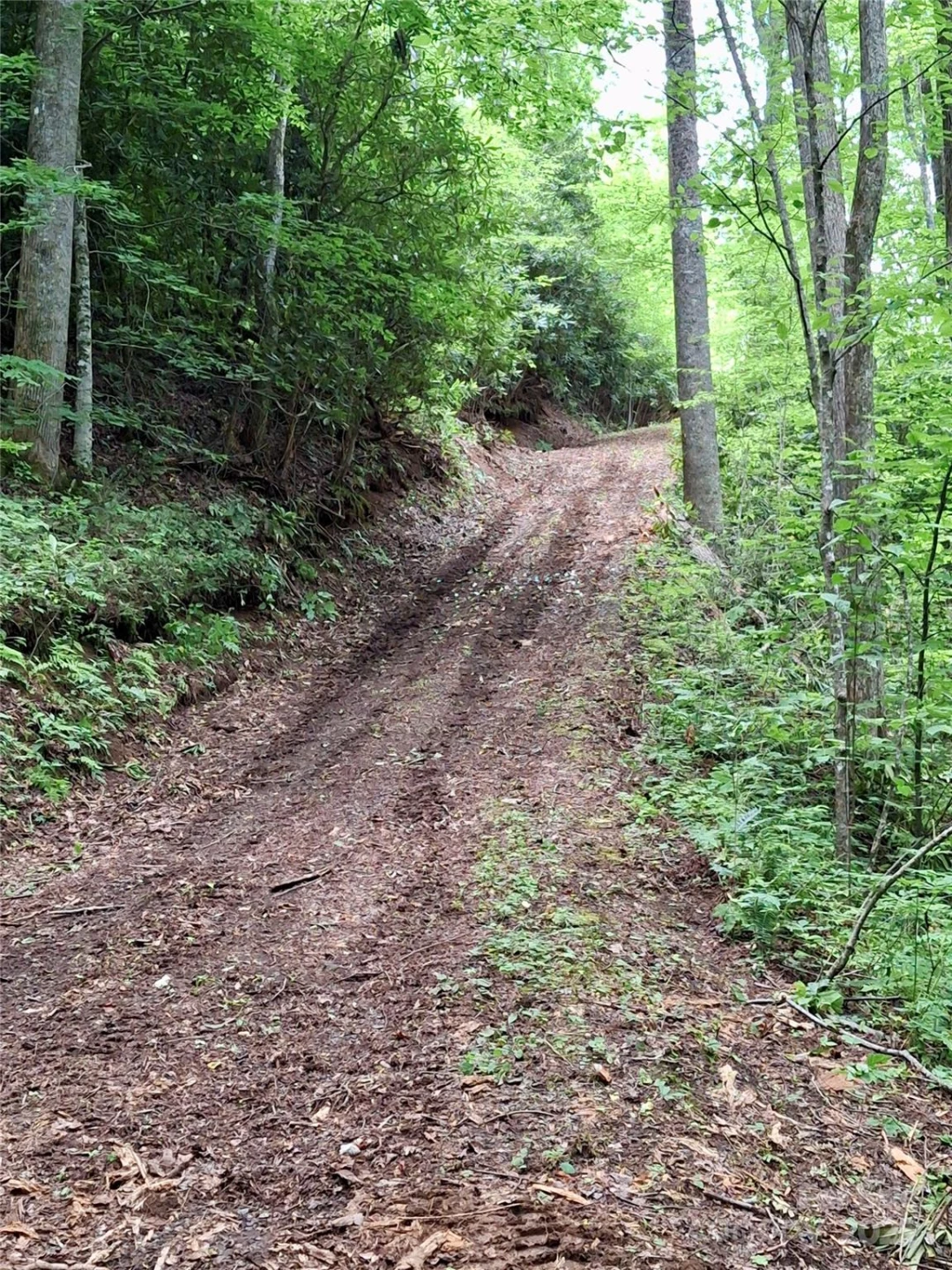 0 Sometimes Creek Road - Photo 11