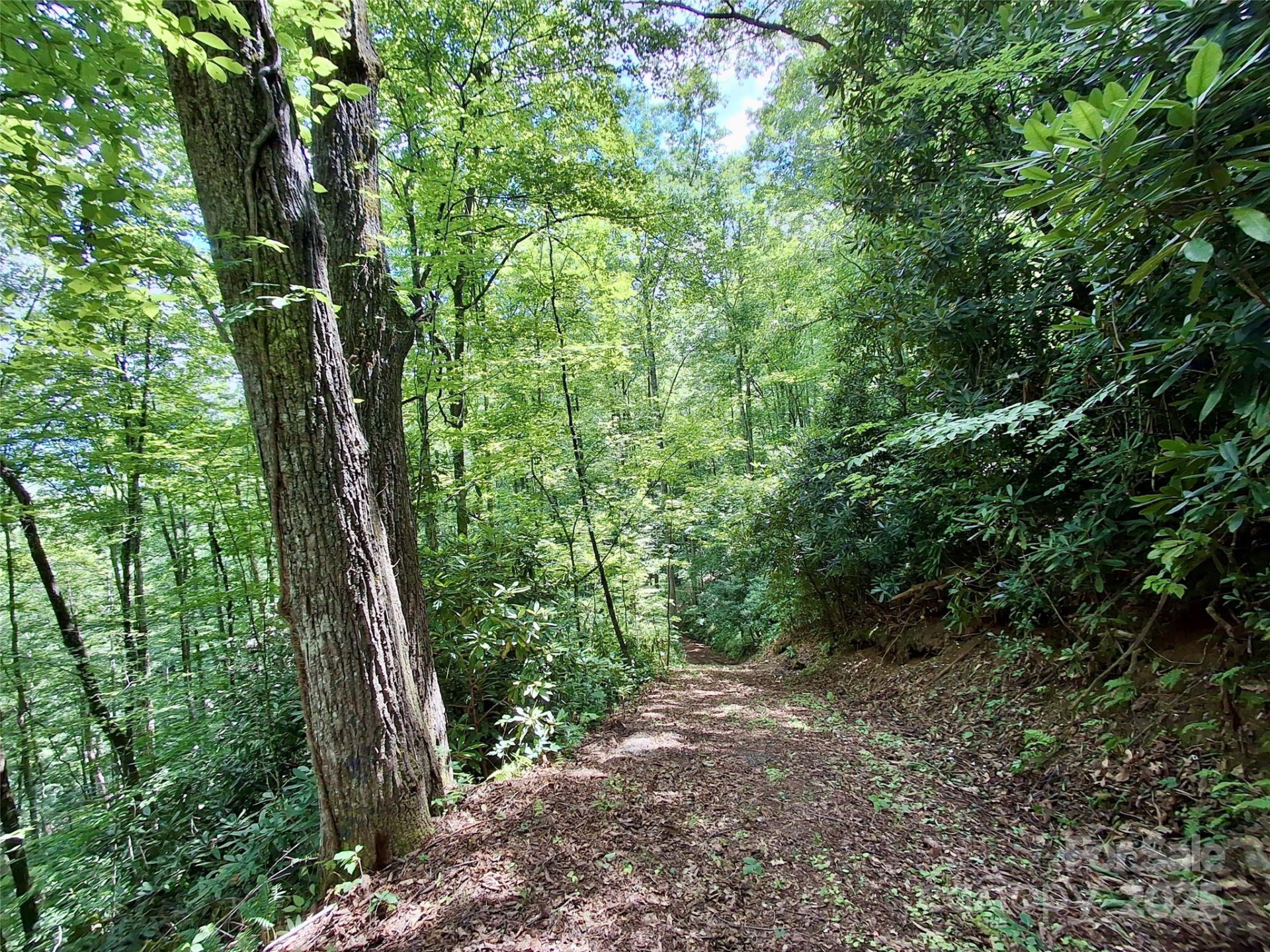 0 Sometimes Creek Road - Photo 13