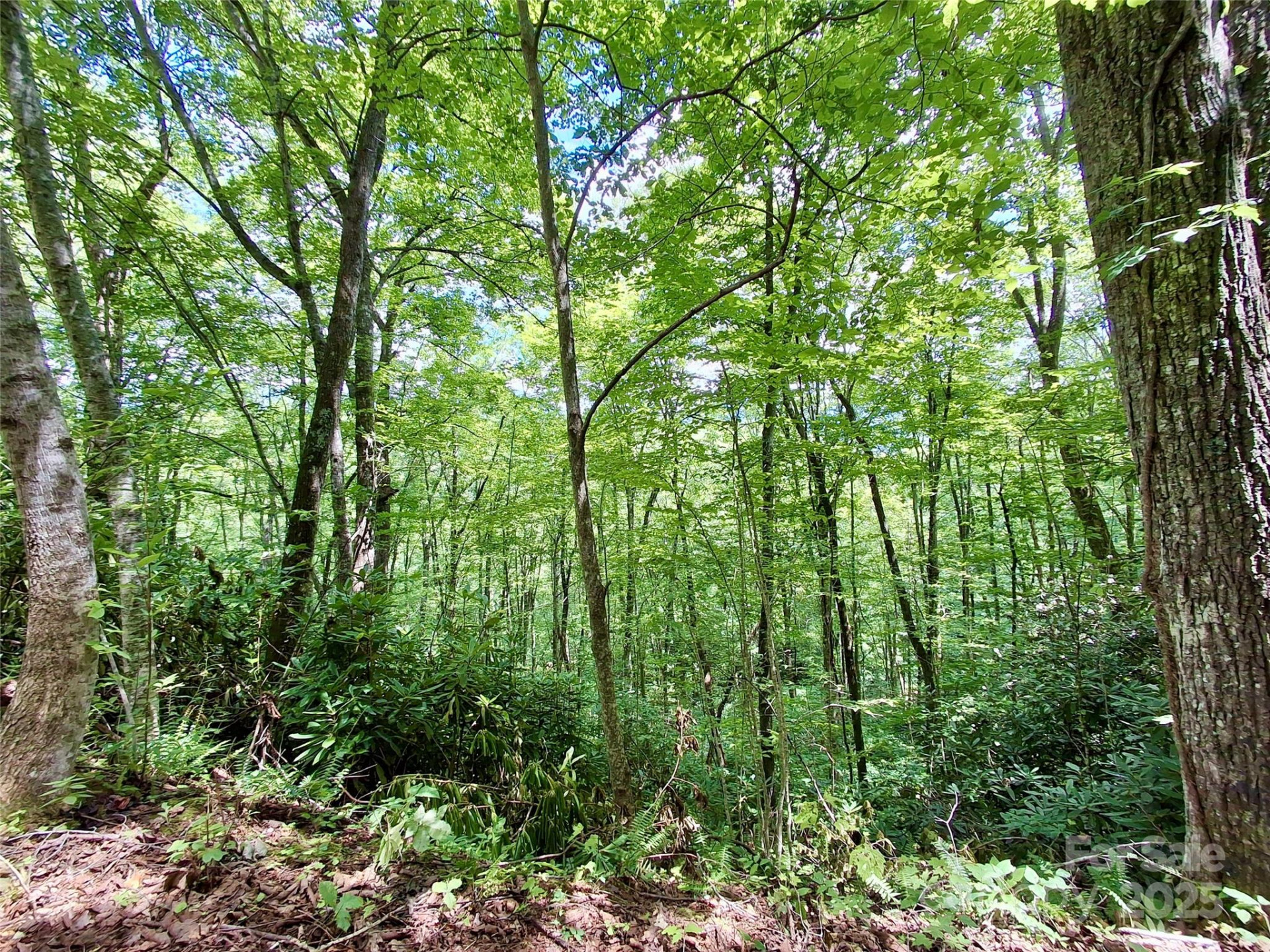 0 Sometimes Creek Road - Photo 14