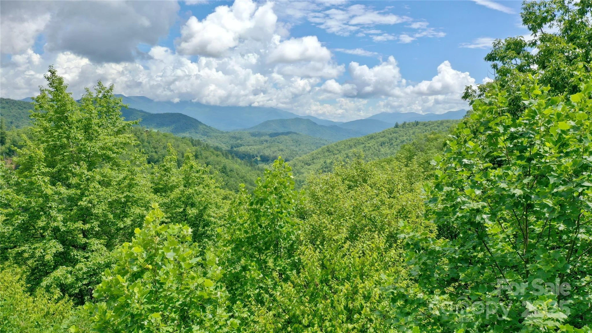 0 Sometimes Creek Road - Photo 16