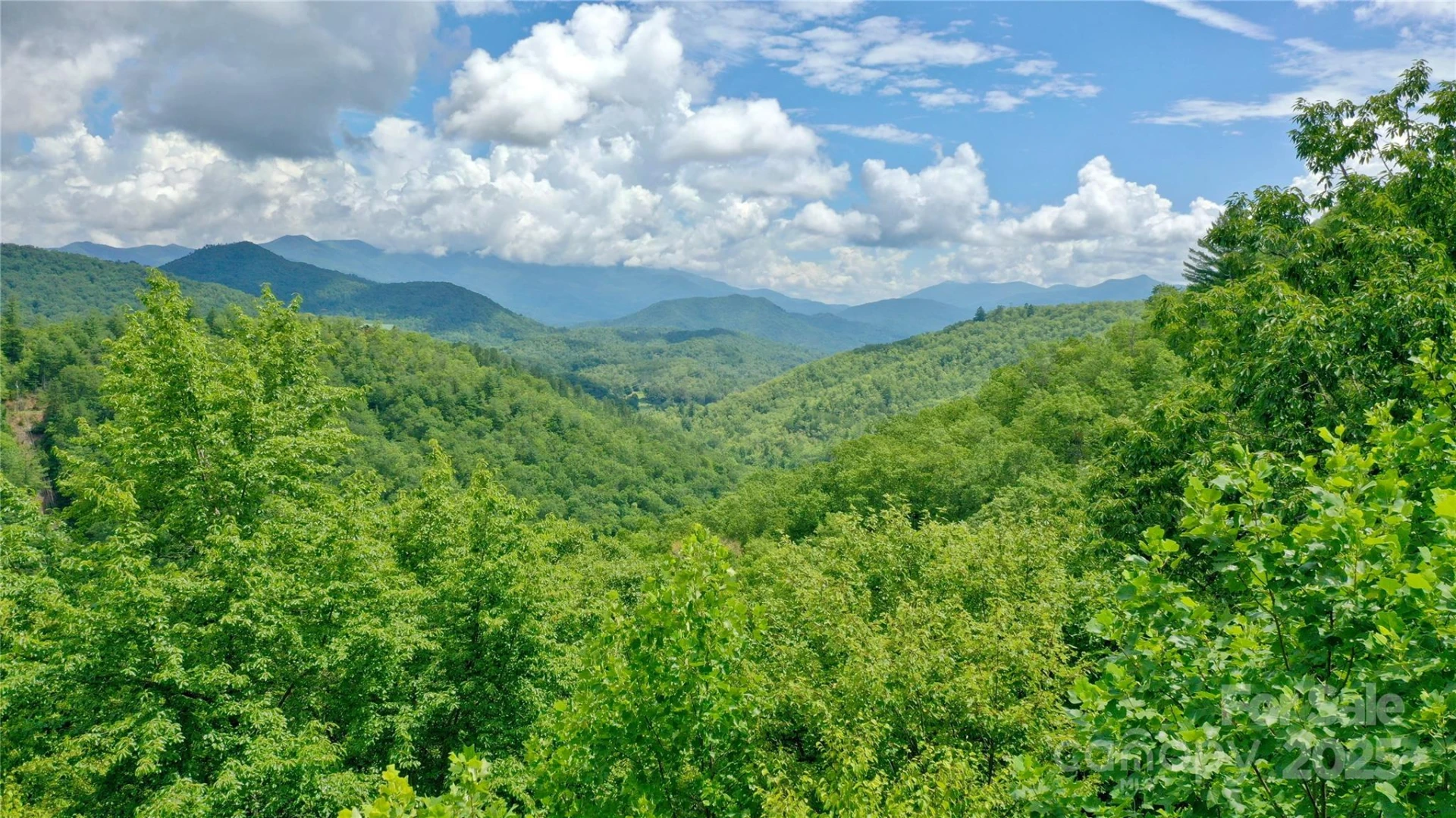 0 Sometimes Creek Road - Photo 17