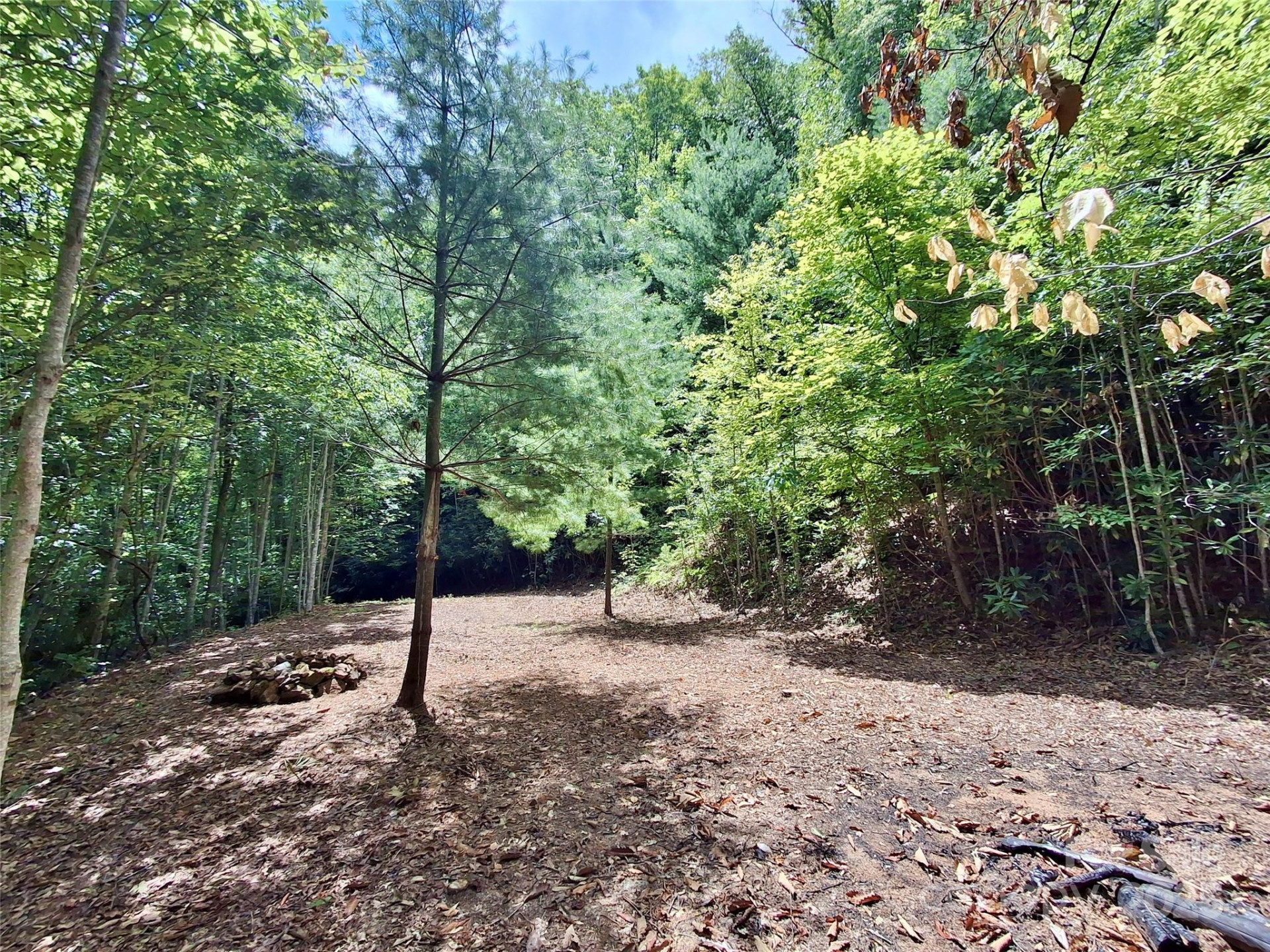 0 Sometimes Creek Road - Photo 3