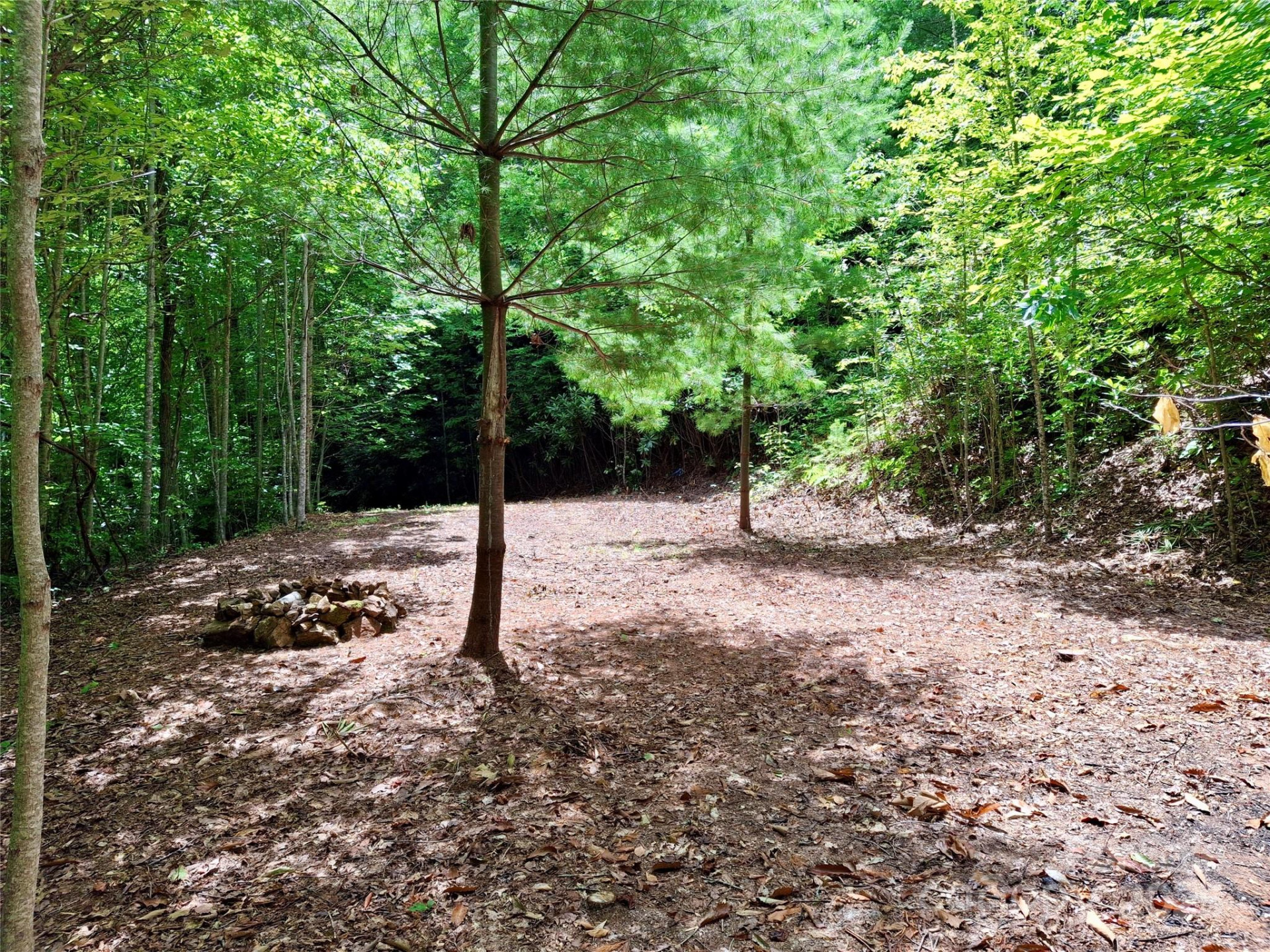 0 Sometimes Creek Road - Photo 4