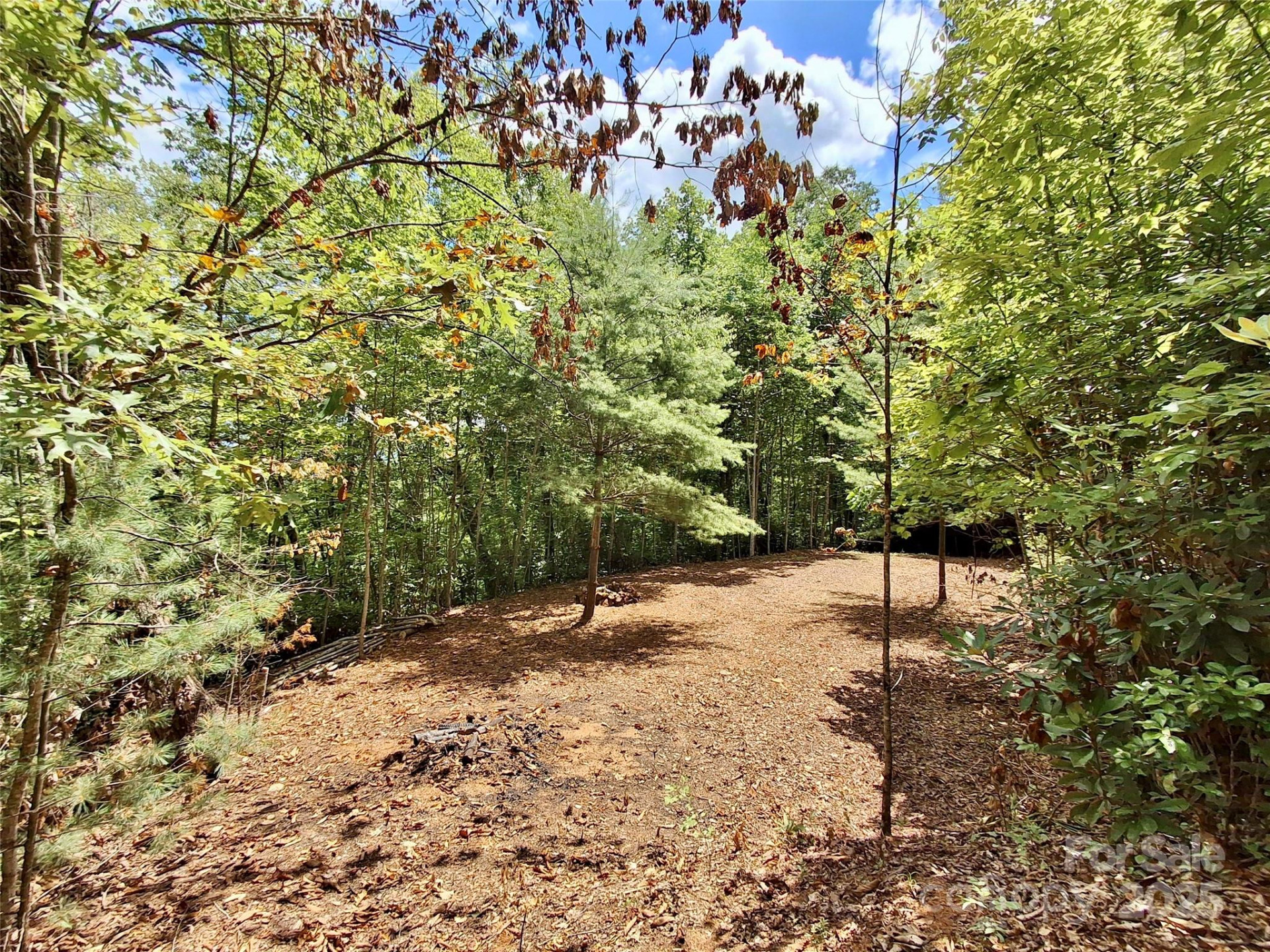 0 Sometimes Creek Road - Photo 6