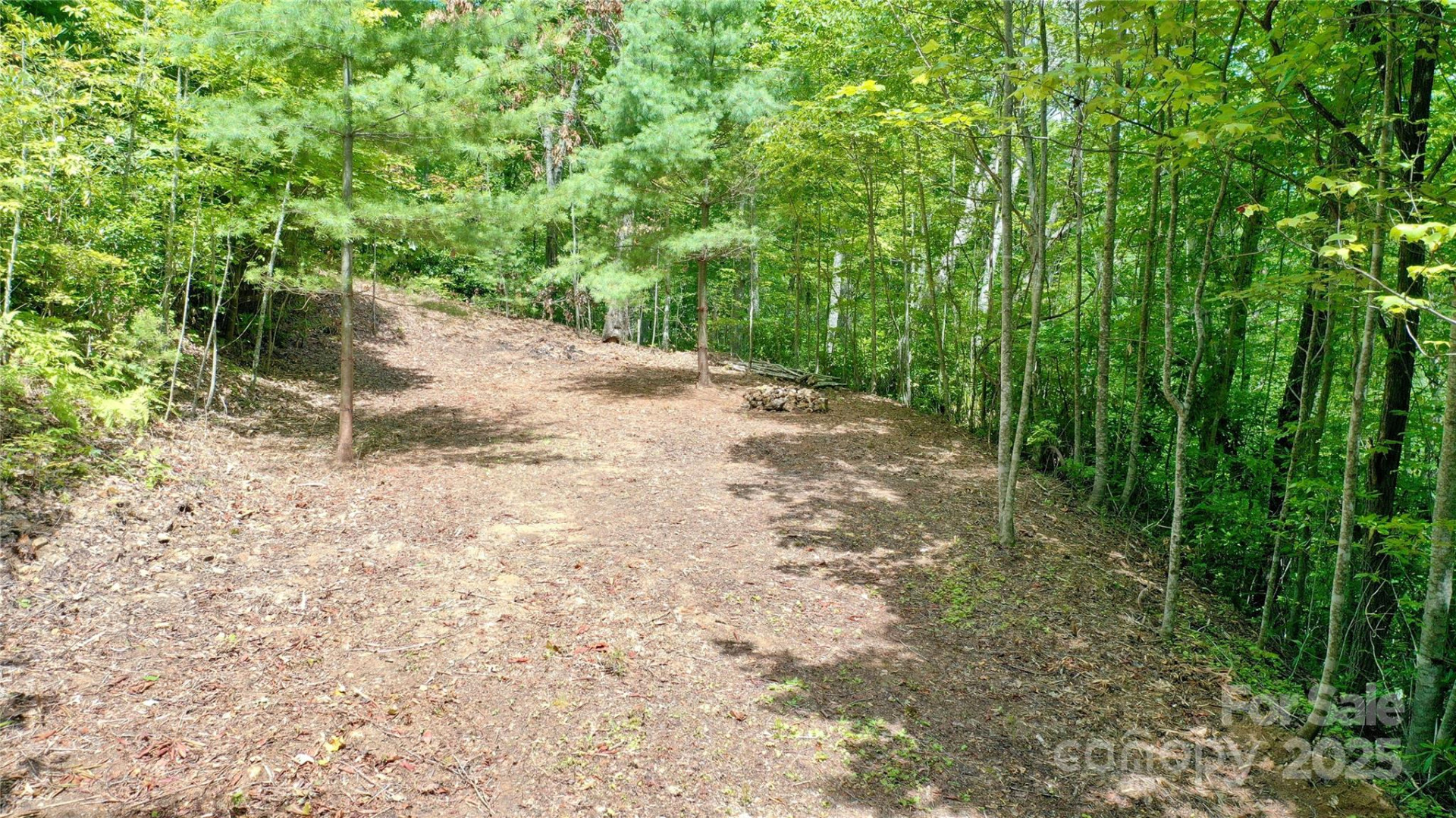 0 Sometimes Creek Road - Photo 7