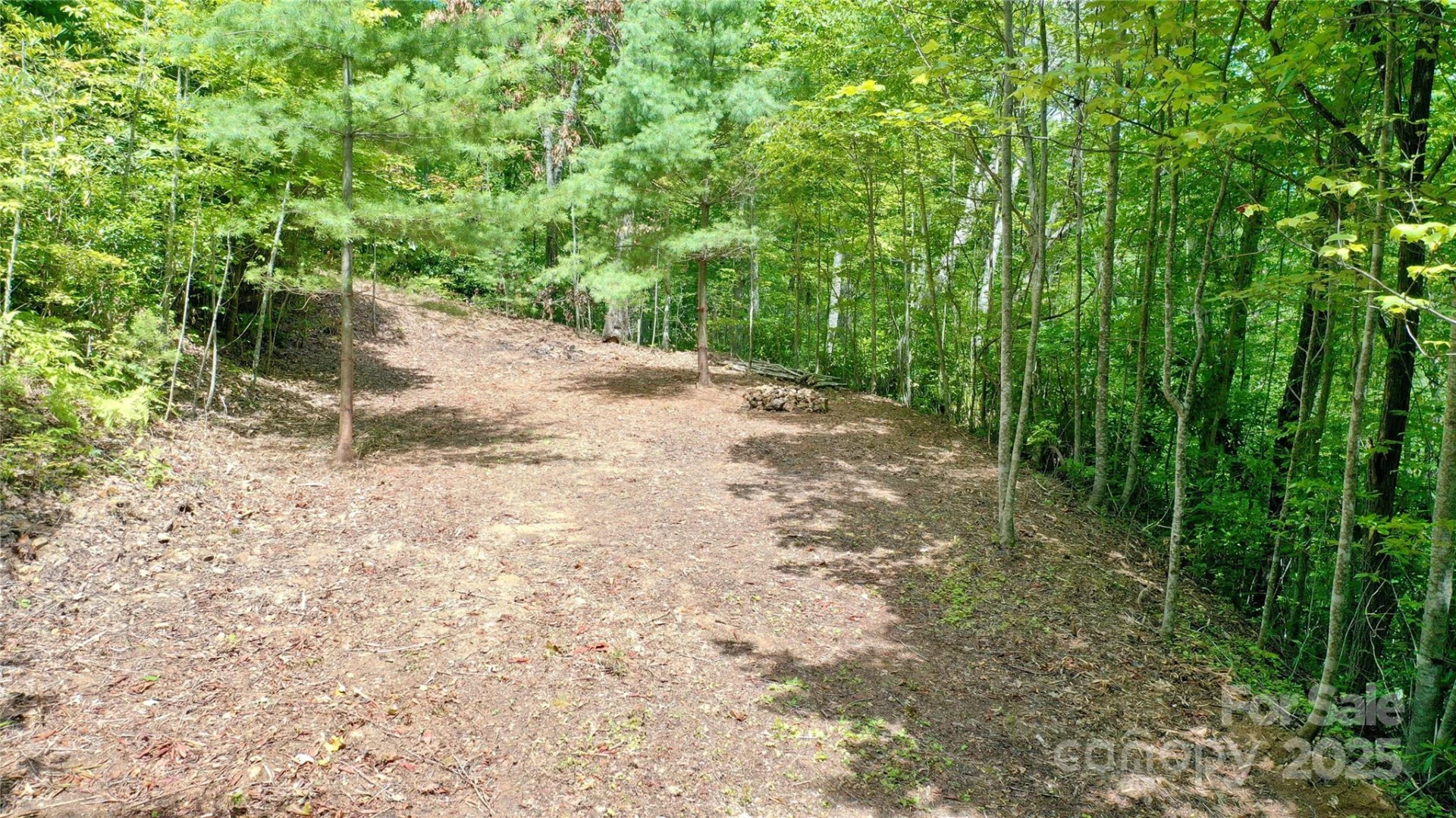 0 Sometimes Creek Road - Photo 7