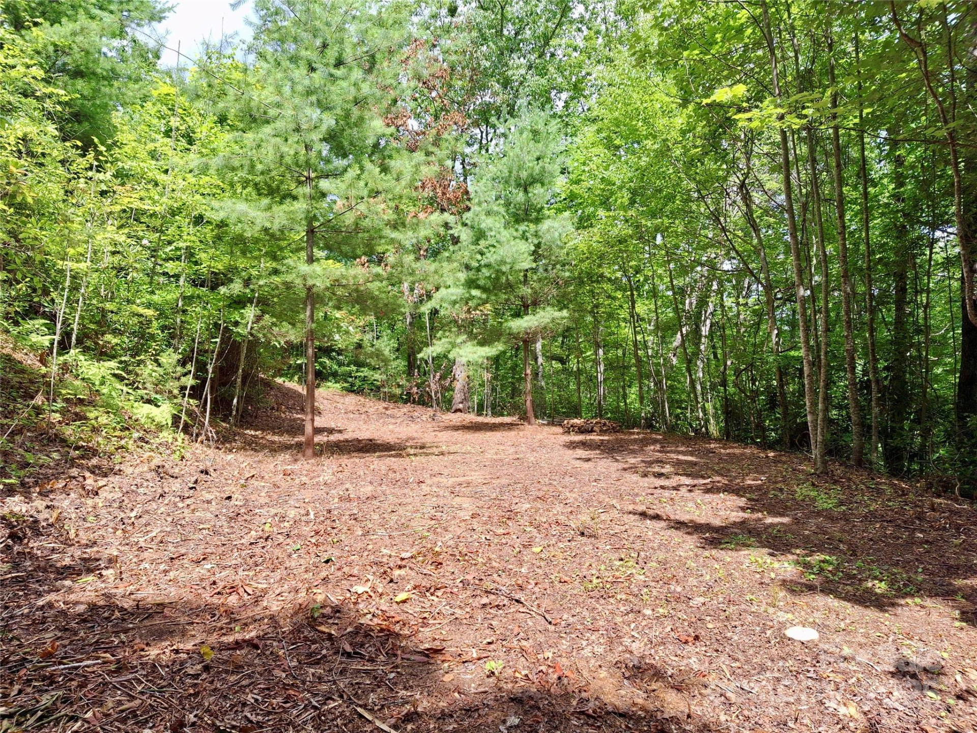 0 Sometimes Creek Road - Photo 8