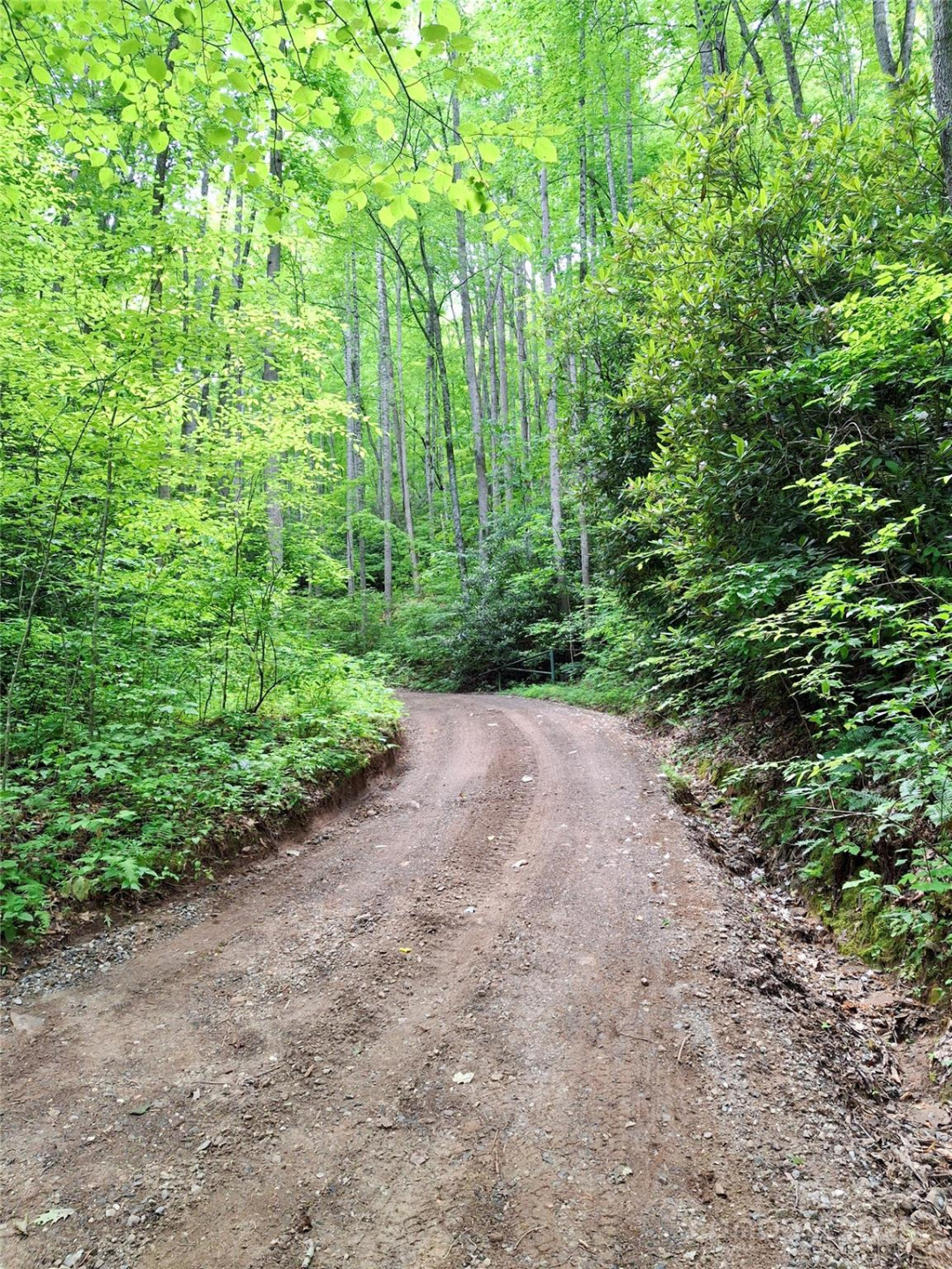 0 Sometimes Creek Road - Photo 10