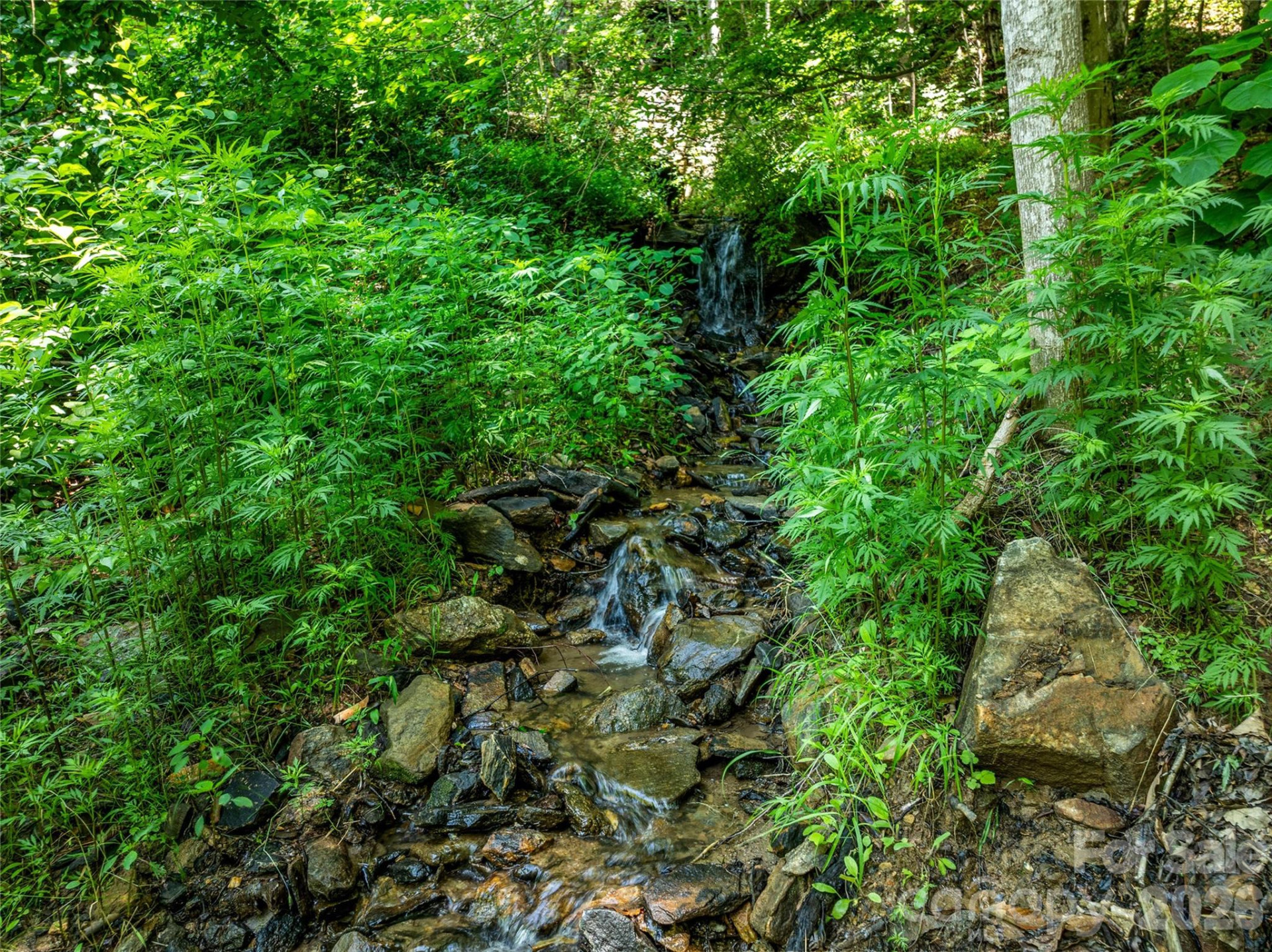 150 Sondley Parkway - Photo 37