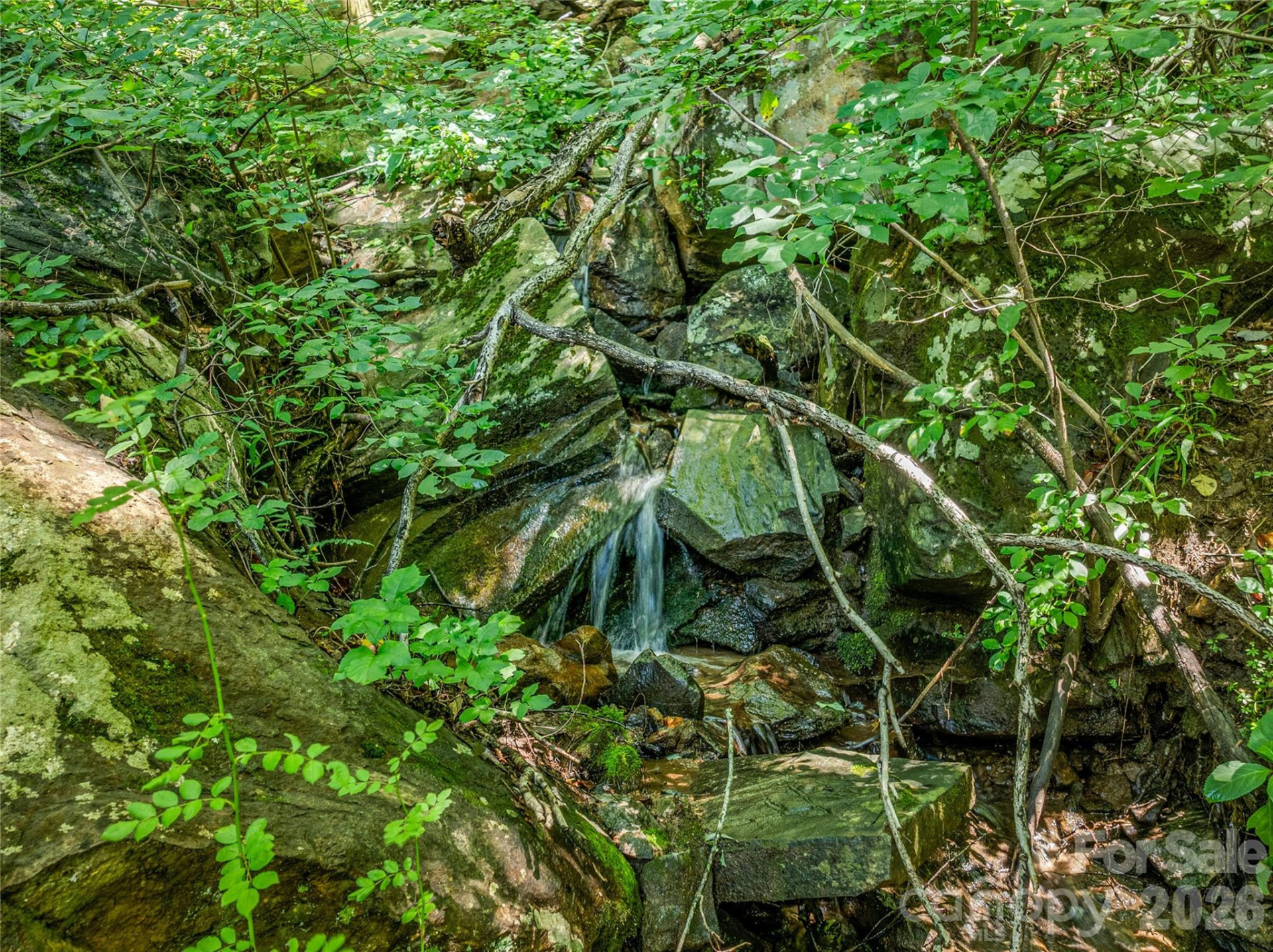 150 Sondley Parkway - Photo 39