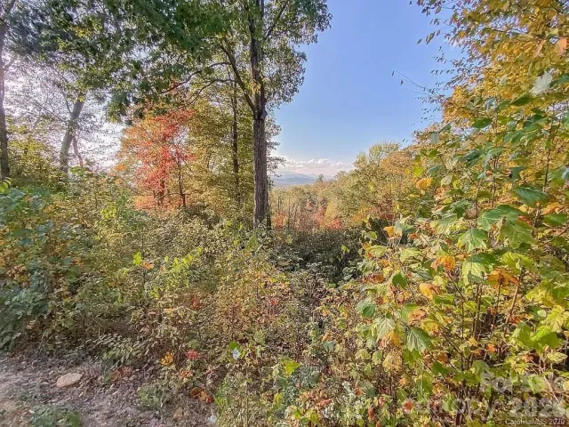 215 Crossvine Trail