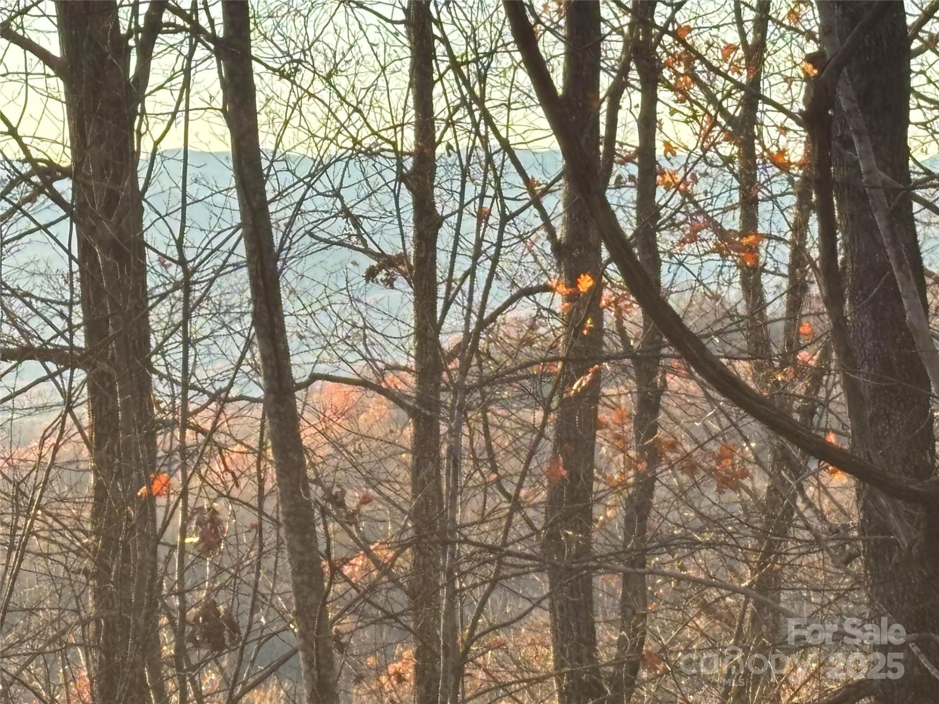 215 Crossvine Trail #11 - Photo 2