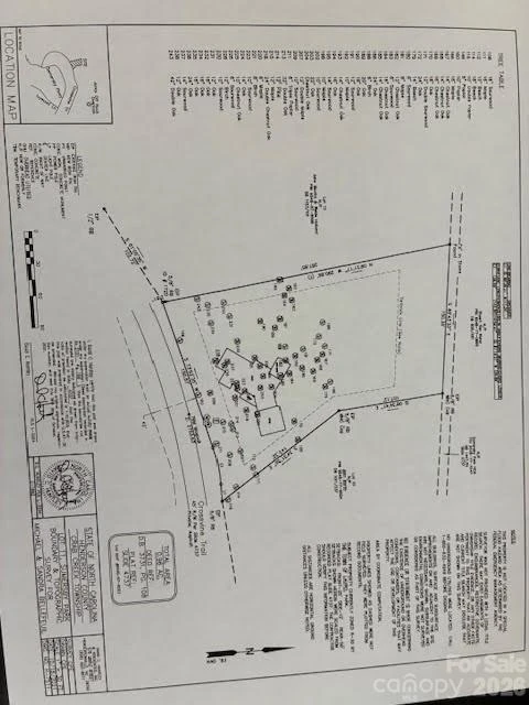215 Crossvine Trail #11 - Photo 2