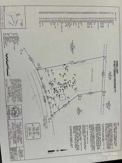 215 Crossvine Trail #11 - Photo 13