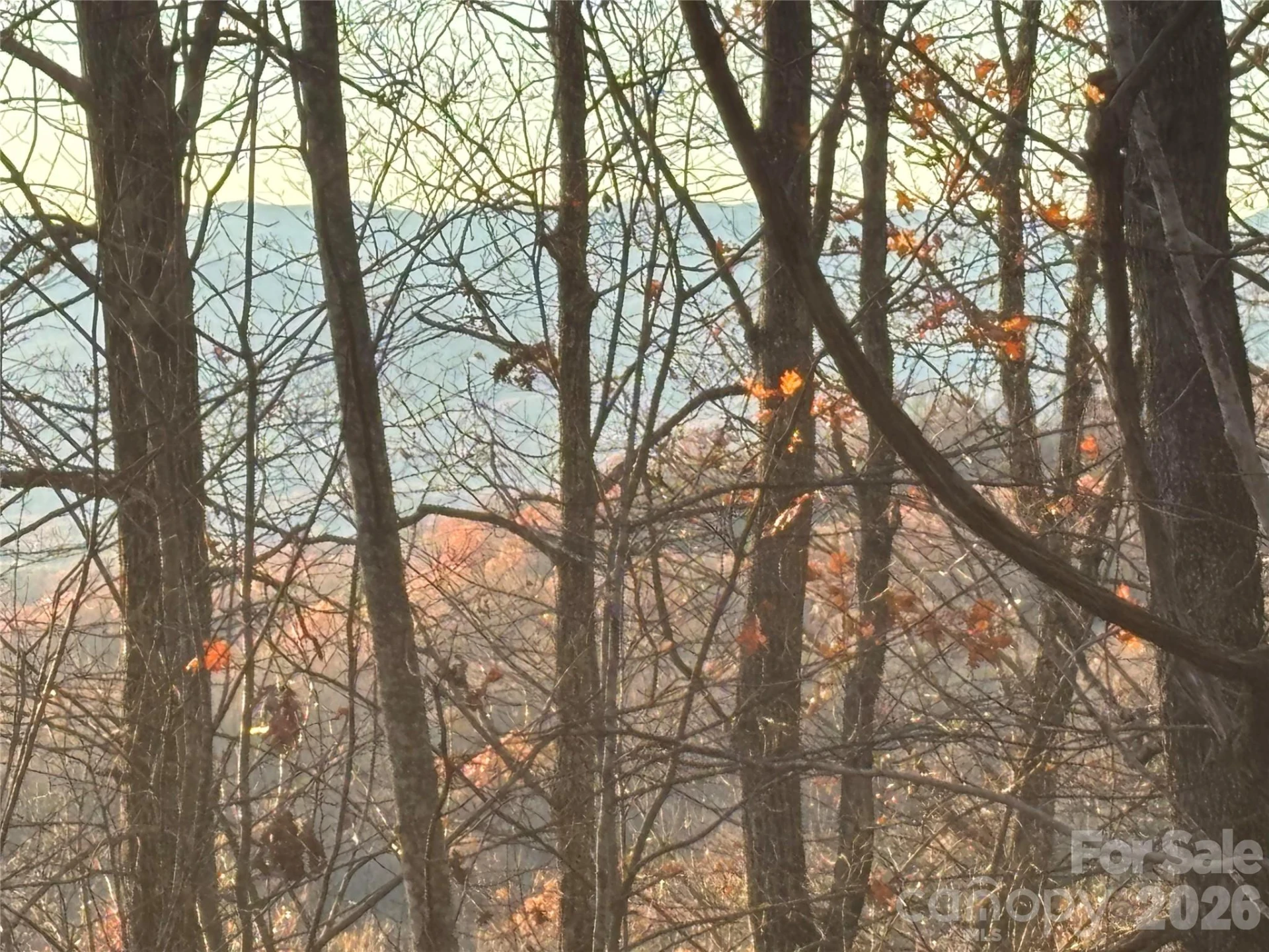 215 Crossvine Trail #11 - Photo 3