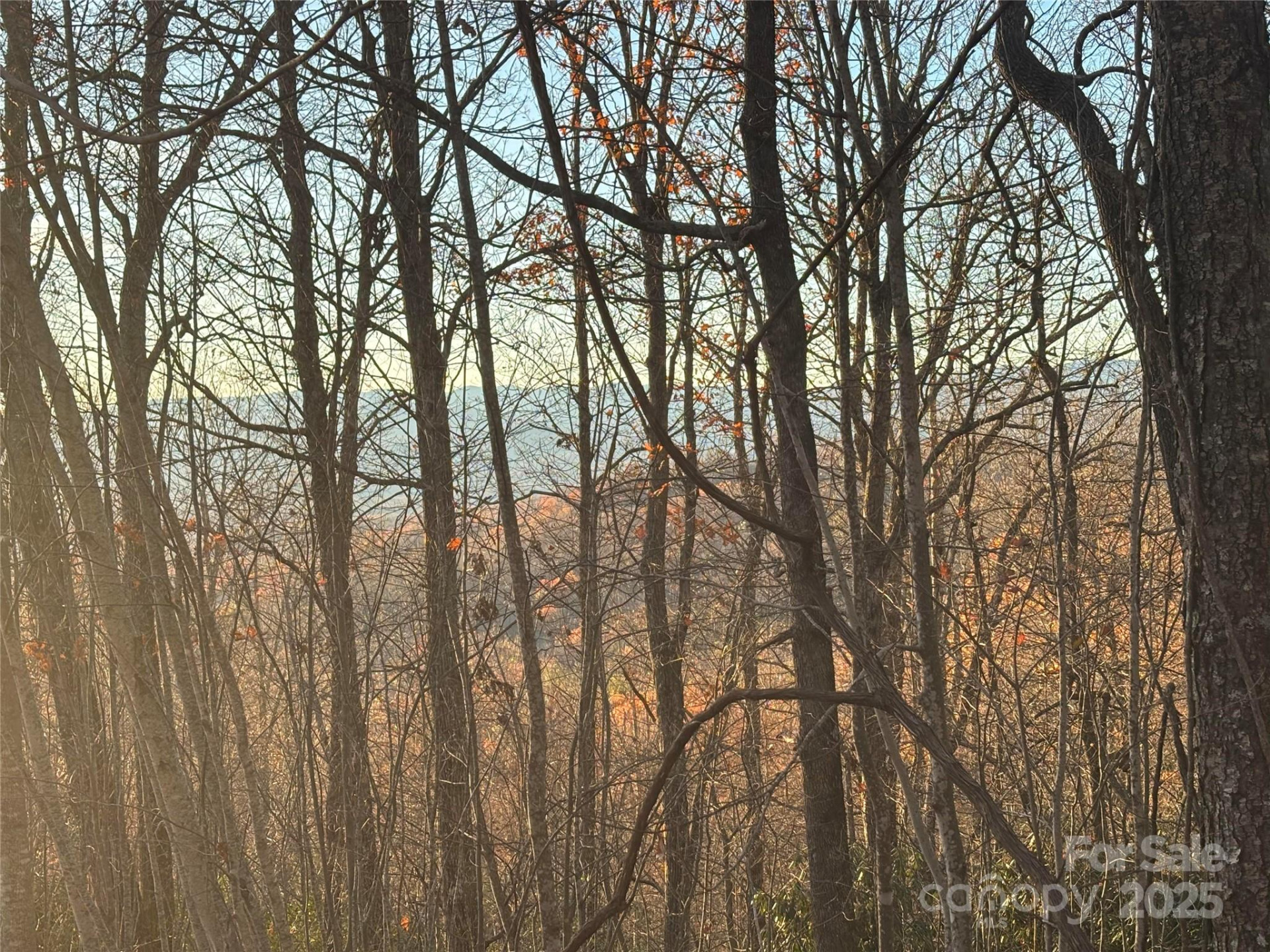 215 Crossvine Trail #11 - Photo 4