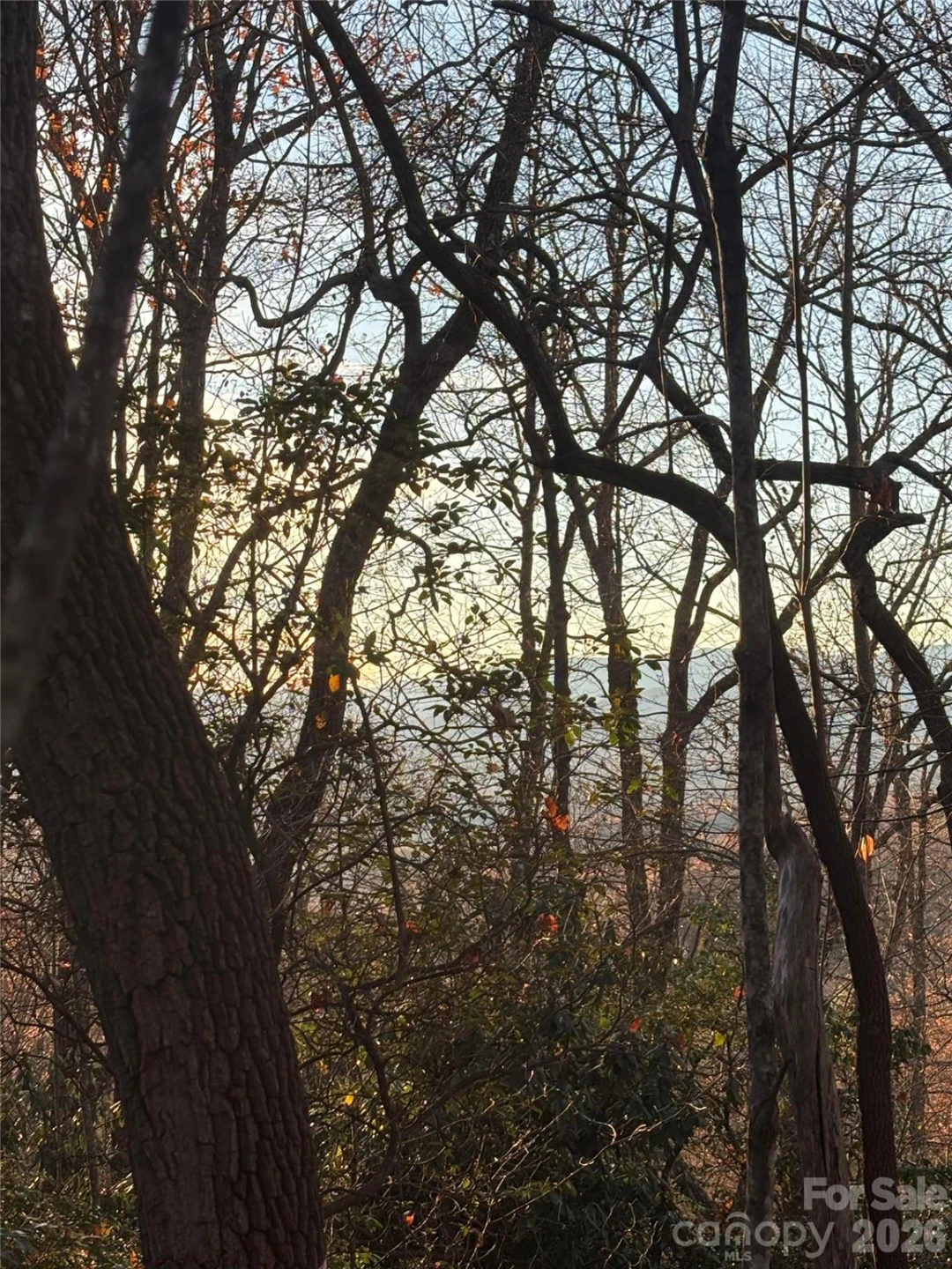 215 Crossvine Trail #11 - Photo 4