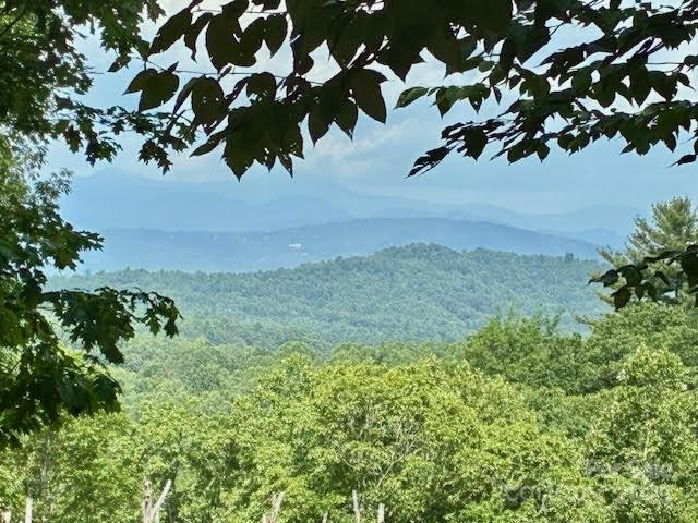 215 Crossvine Trail #11 - Photo 5