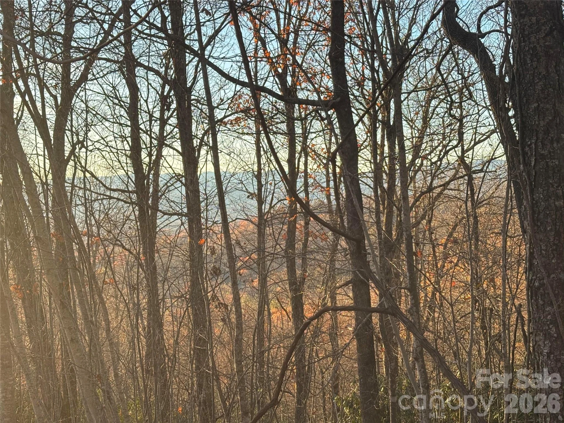 215 Crossvine Trail #11 - Photo 6