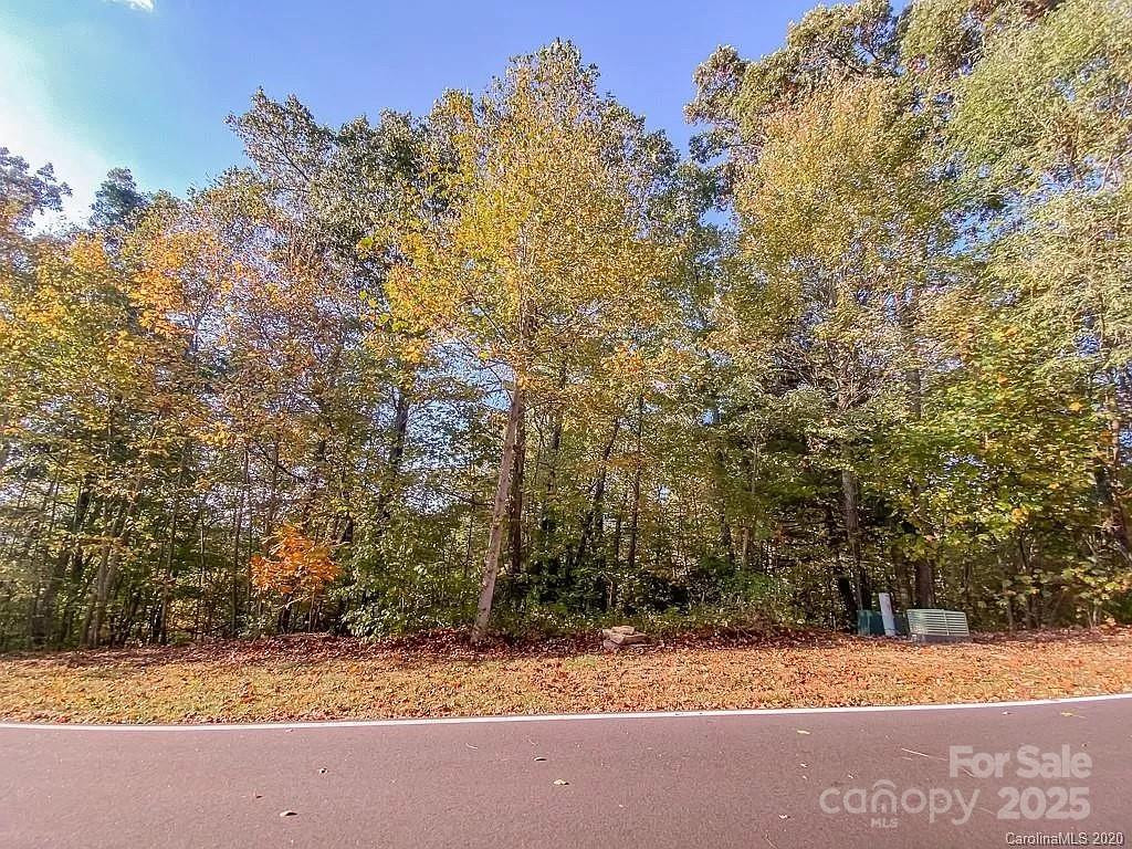 215 Crossvine Trail #11 - Photo 10