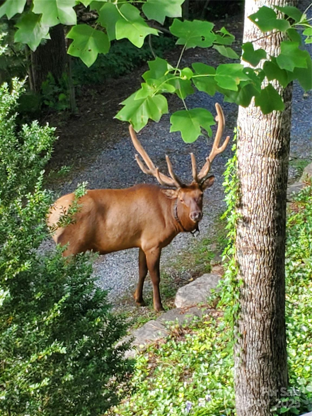 7 Higel Lane - Photo 42