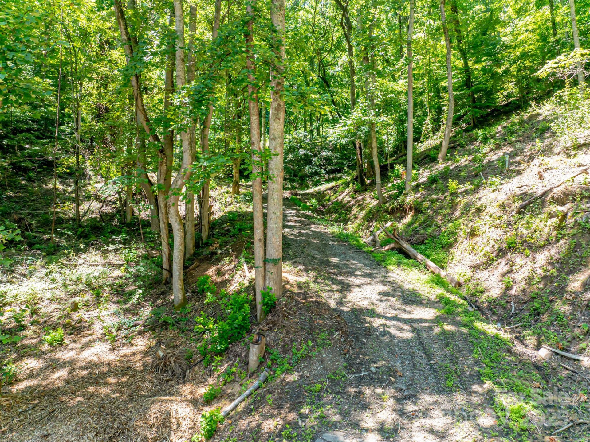 99999 Running Deer Lane #73 - Photo 2