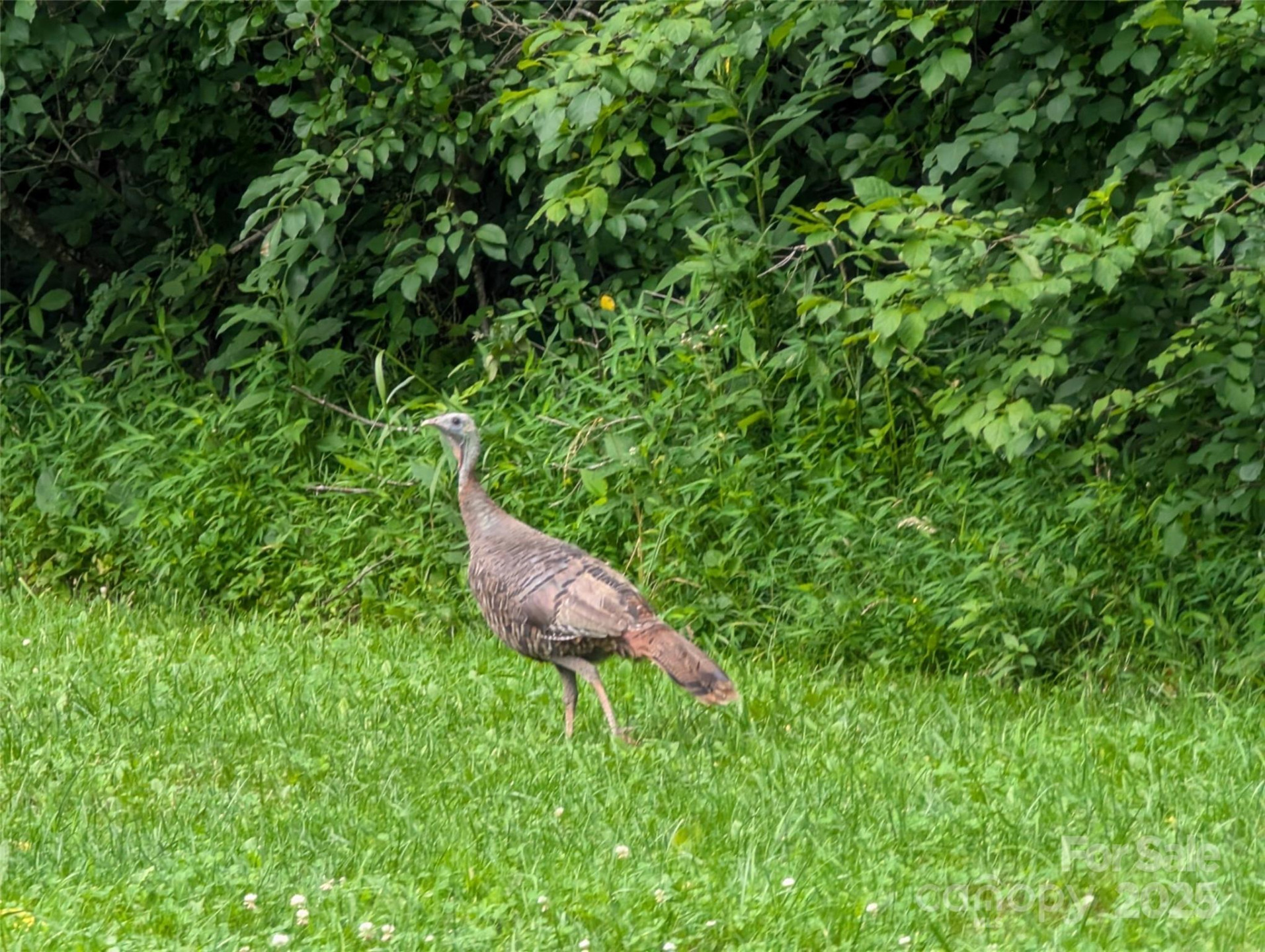99999 Running Deer Lane #73 - Photo 19