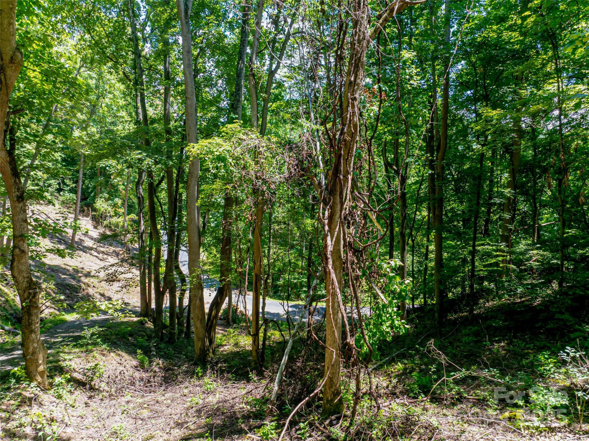 99999 Running Deer Lane #73 - Photo 3