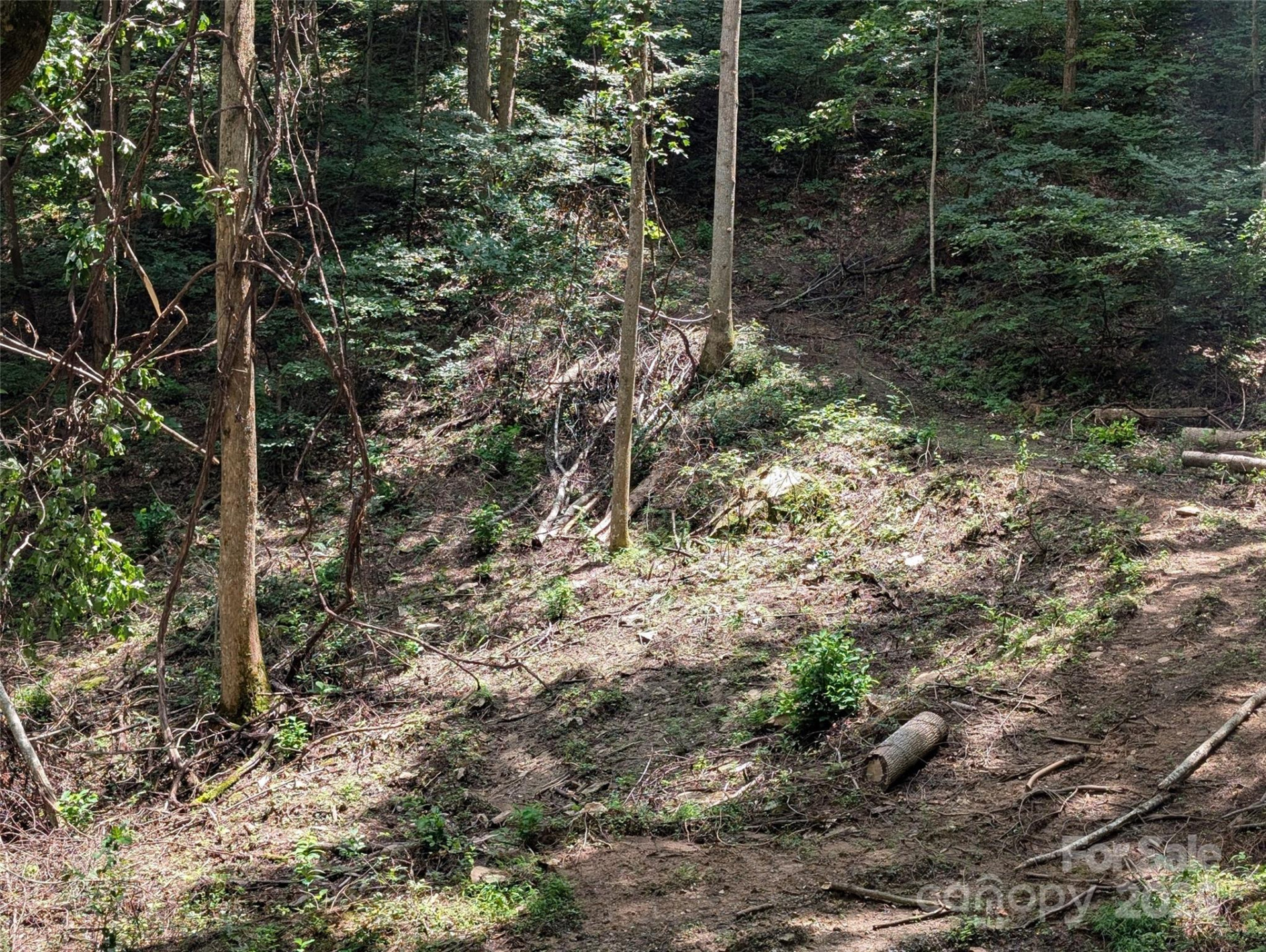 99999 Running Deer Lane #73 - Photo 4