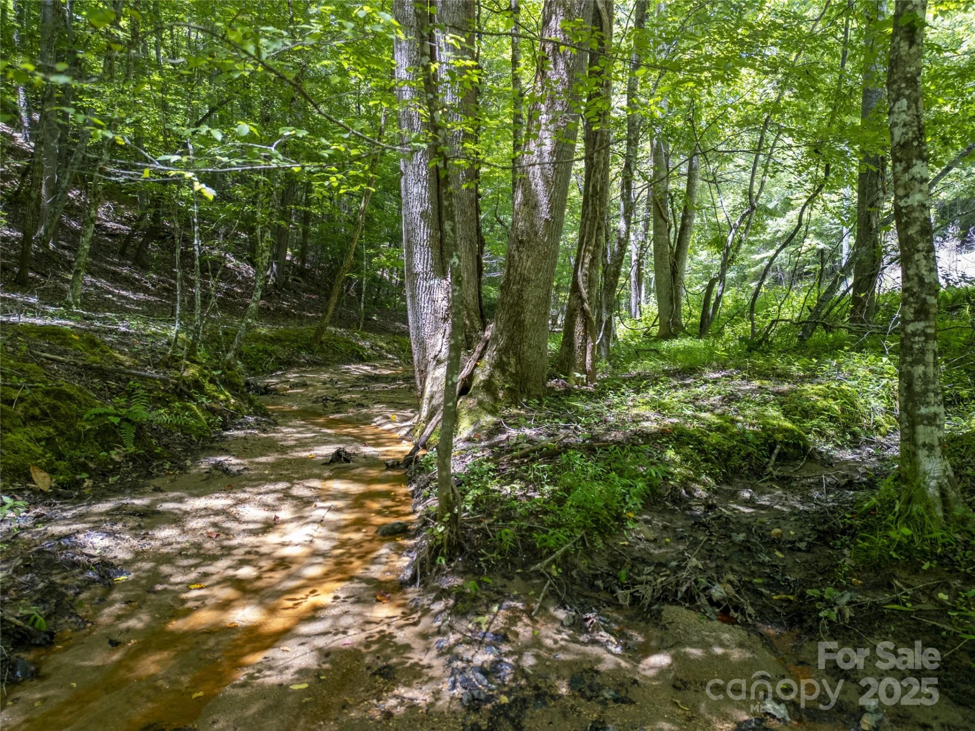 Lot322 Hawks Terrace - Photo 16
