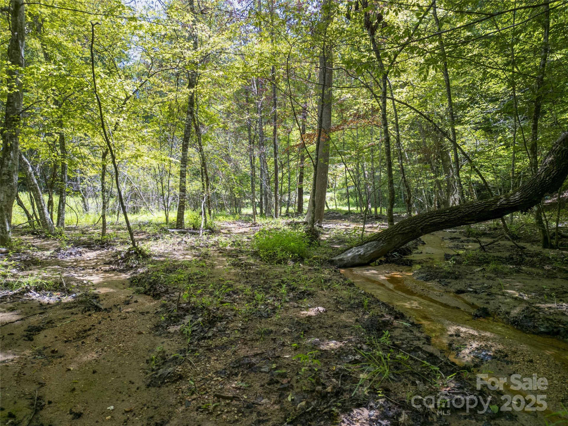 Lot322 Hawks Terrace - Photo 17