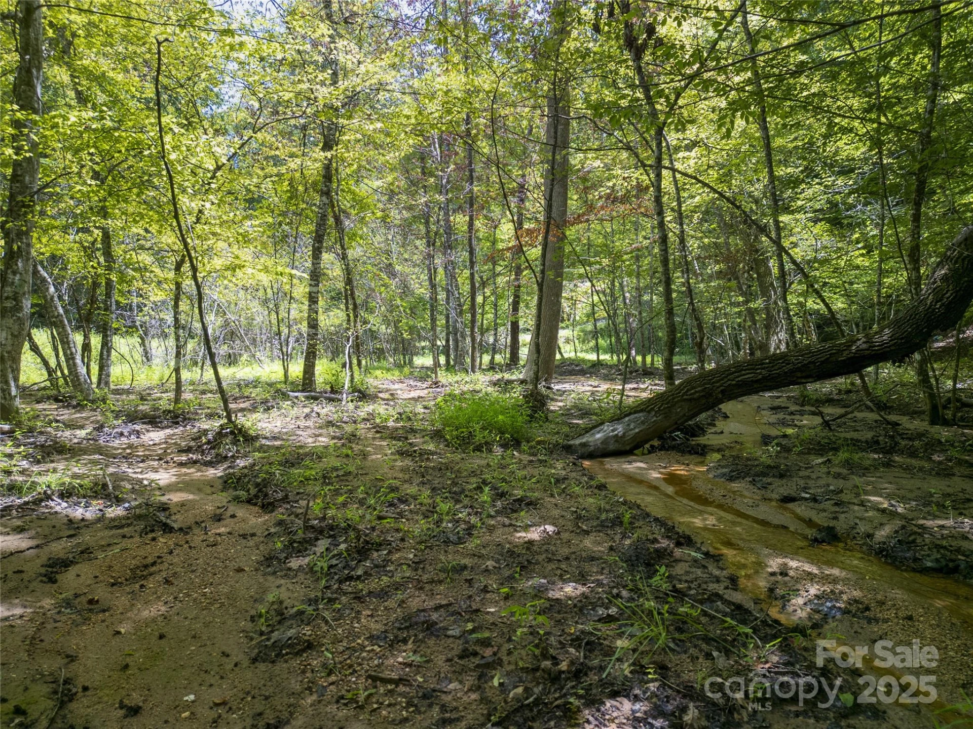 Lot322 Hawks Terrace - Photo 17