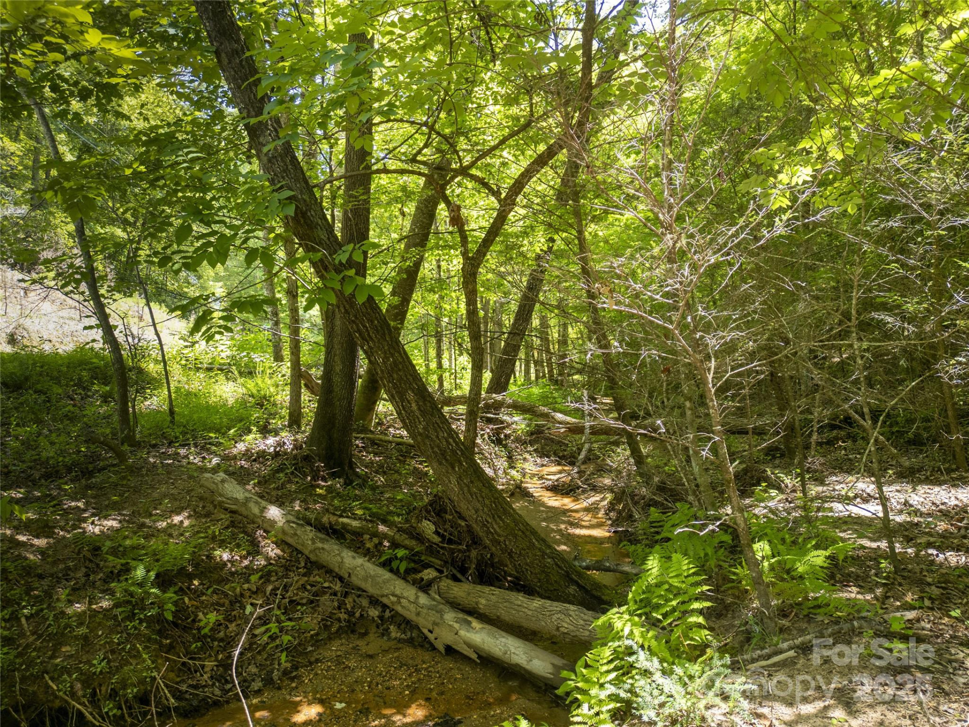 Lot322 Hawks Terrace - Photo 7